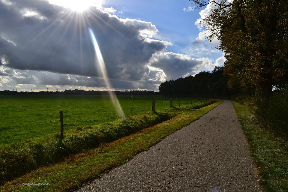 gekleurde-zonnestralen