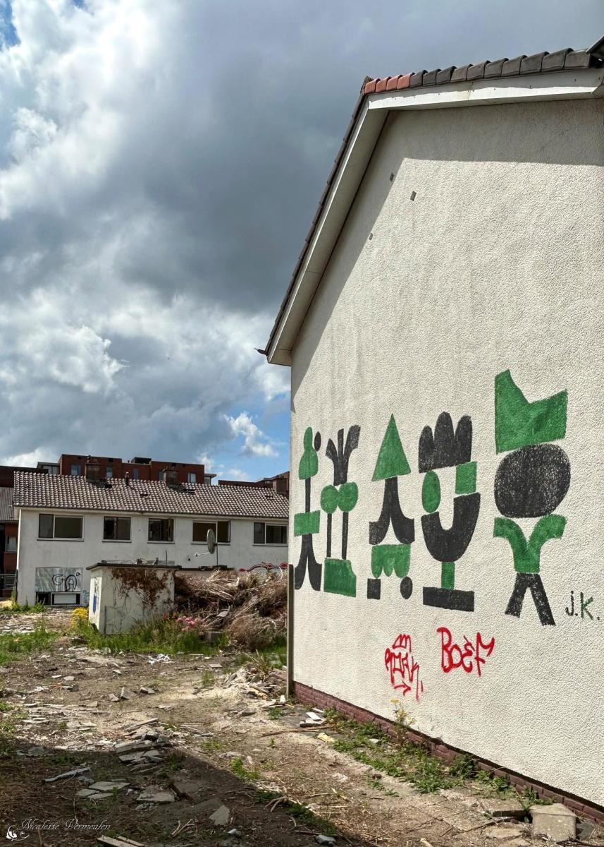 graffitikunst-op-een-huis