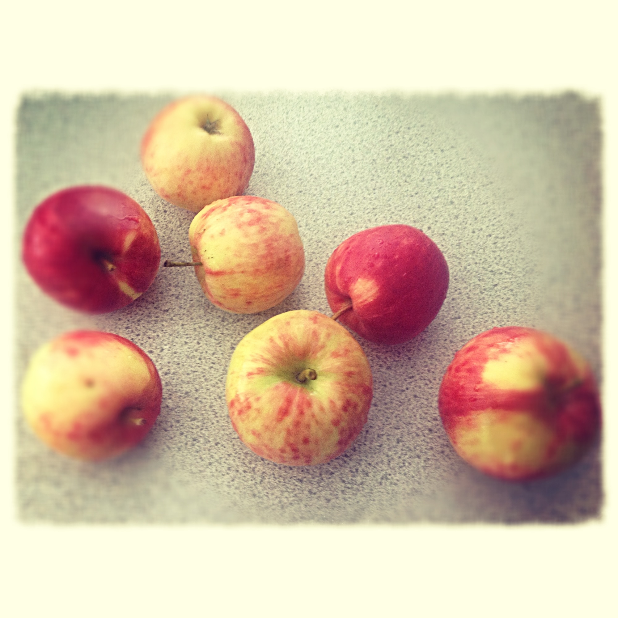 appeltje-uit-eigentuin