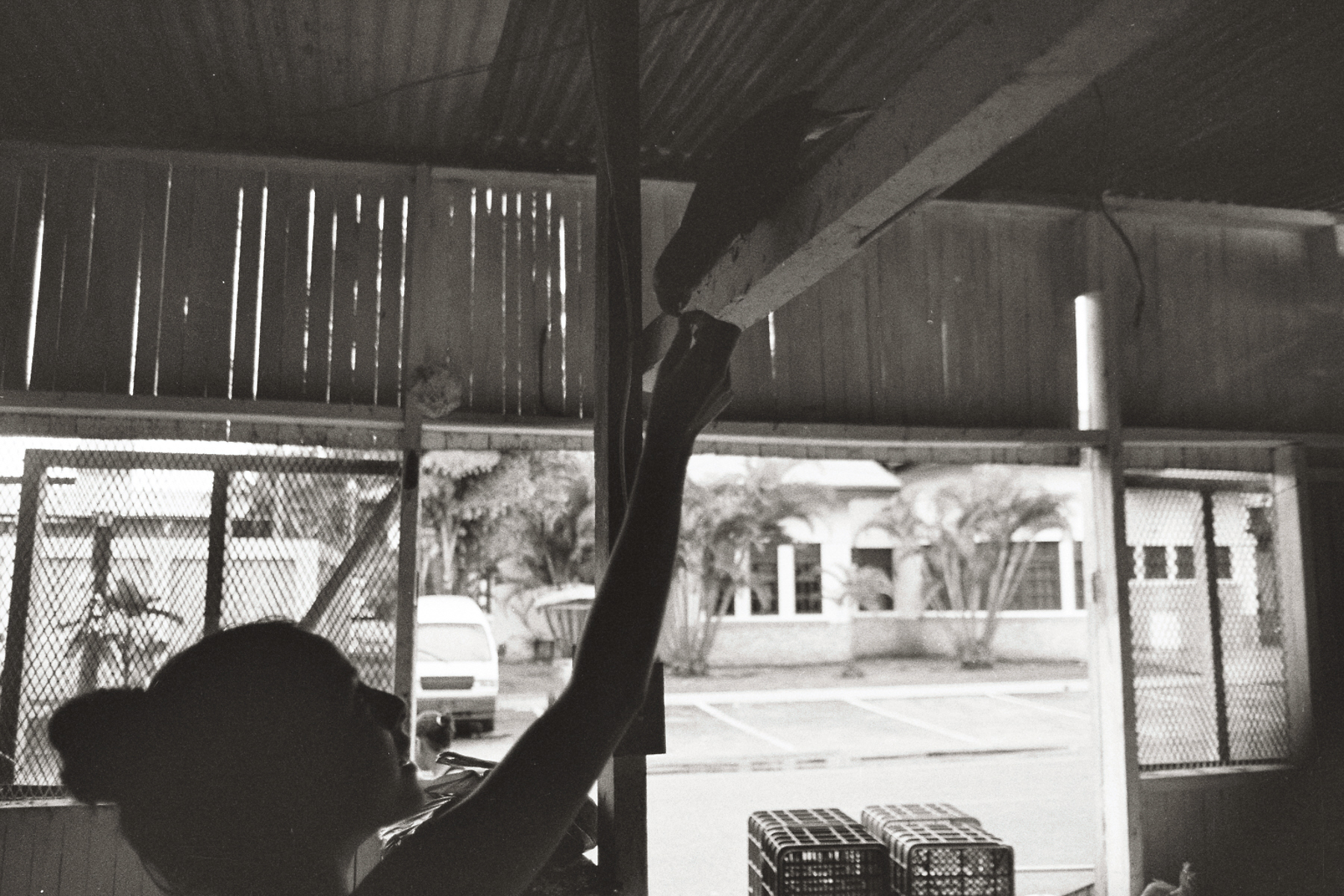 panamanian-market-on-film