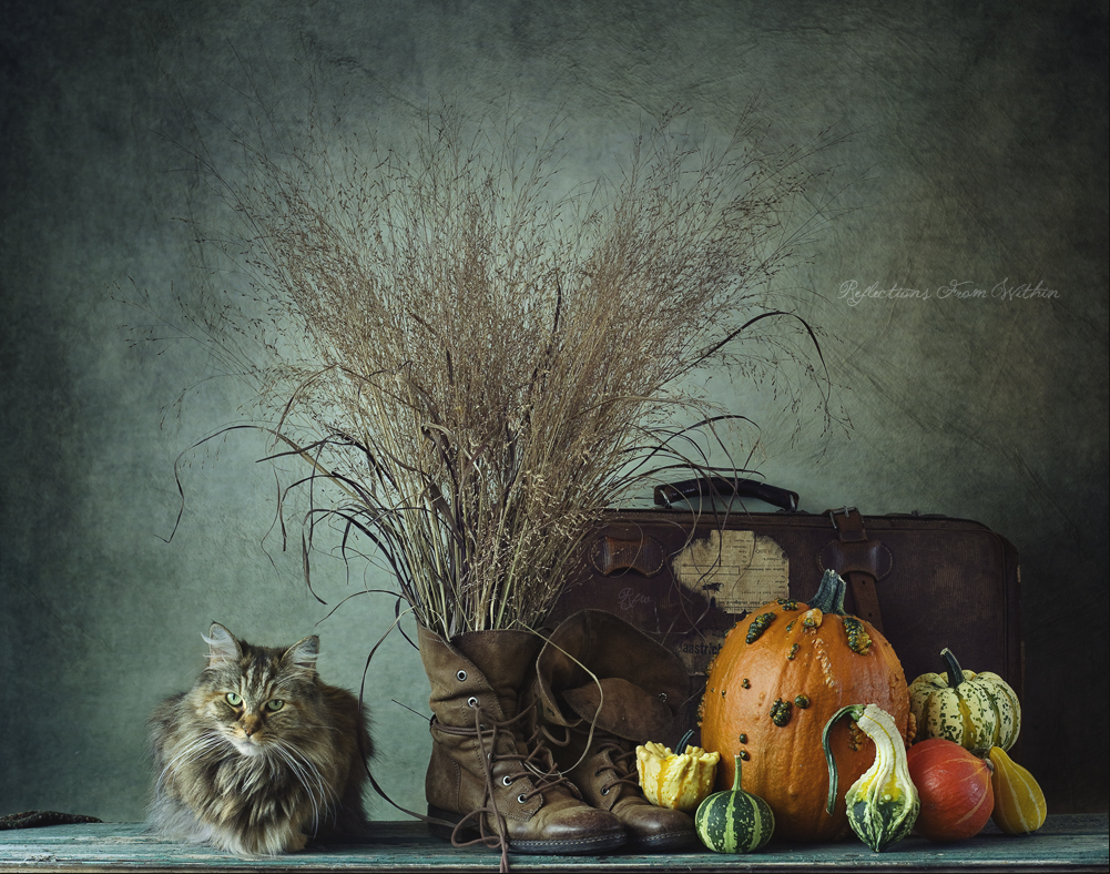 de-herfst-komt-eraan-1