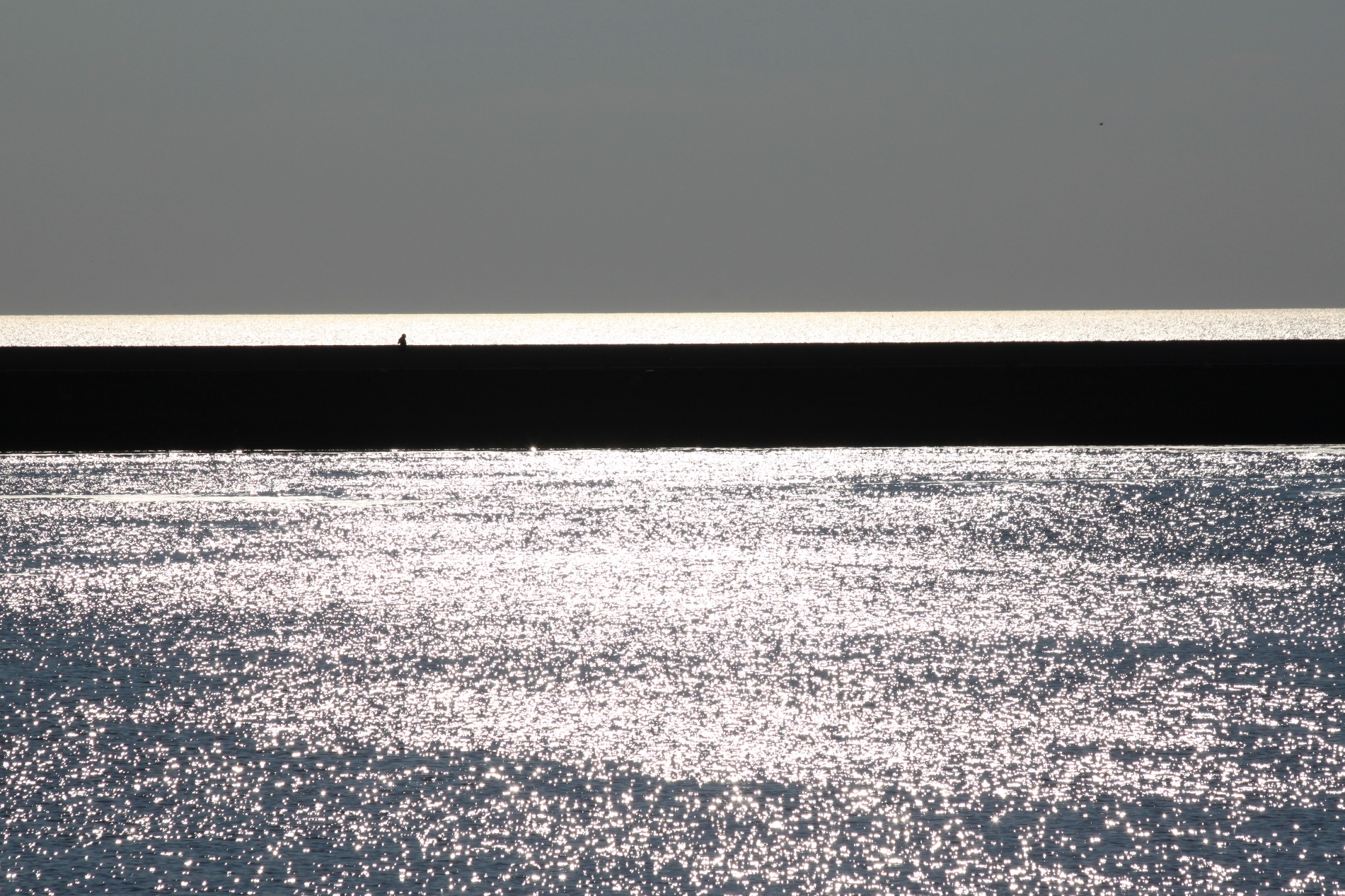 golden-look-against-dark-sky-of-harlingen