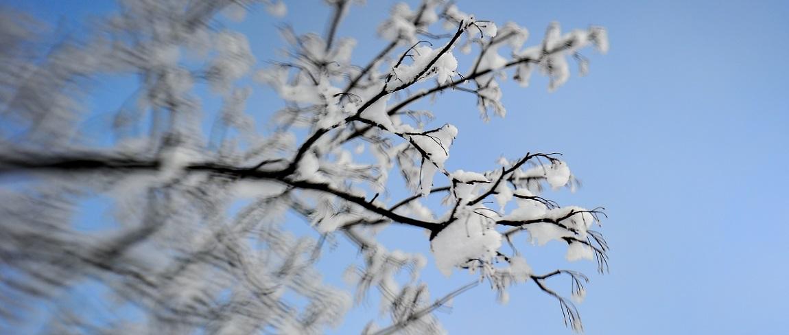 review-ontdekkingstocht-met-lensbaby-sol-45