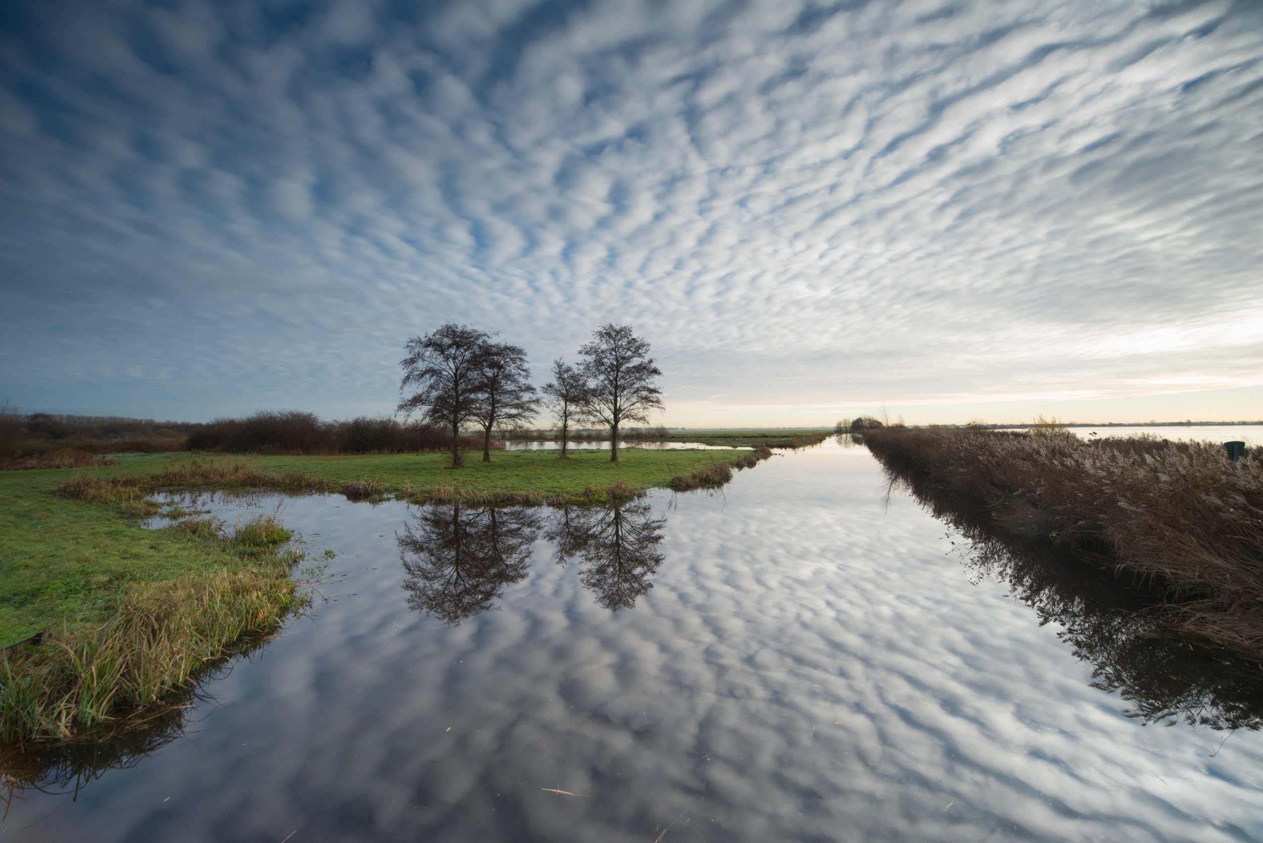 reeuwijkse-plassen-1