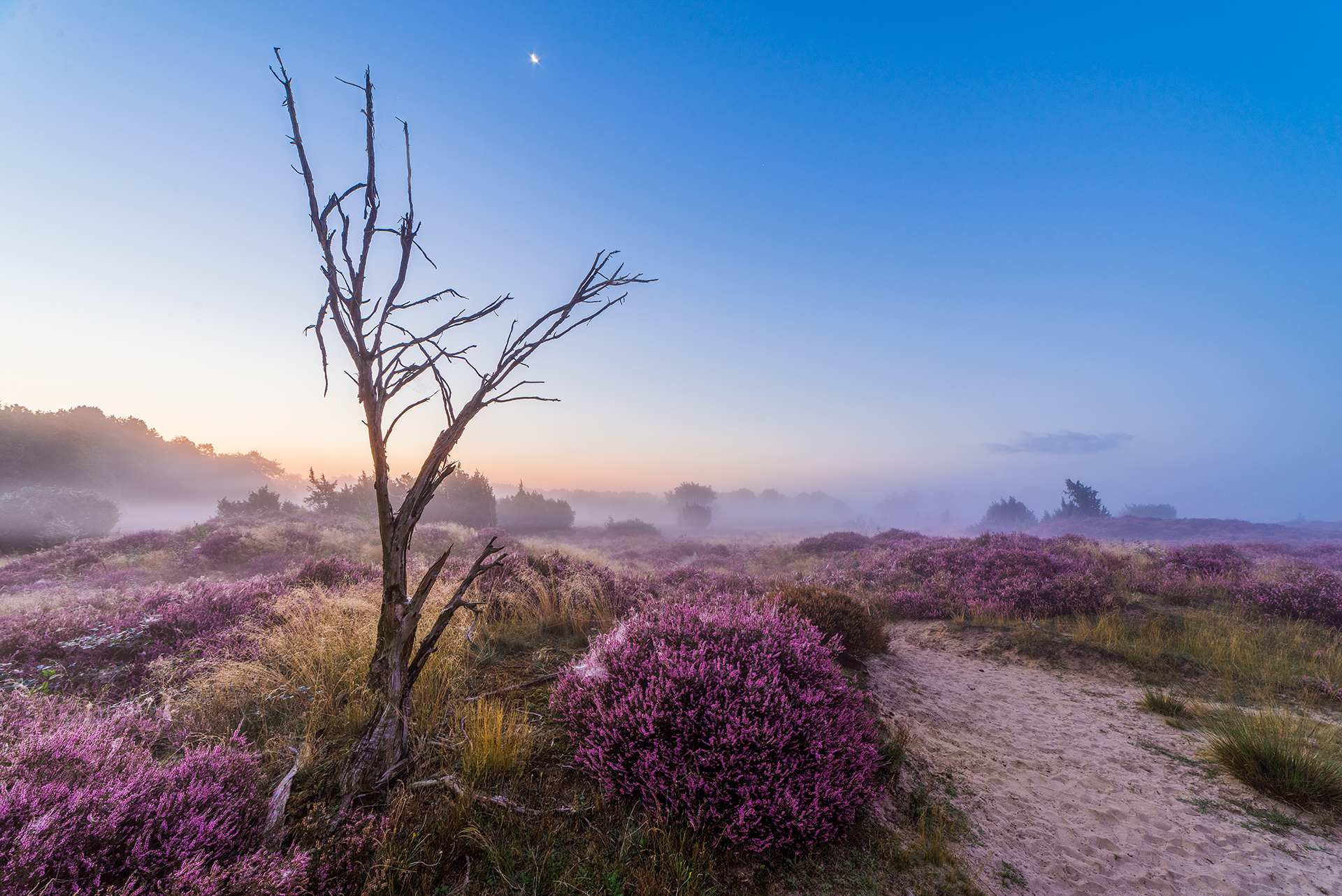 zonsopkomst-terhorsterzand