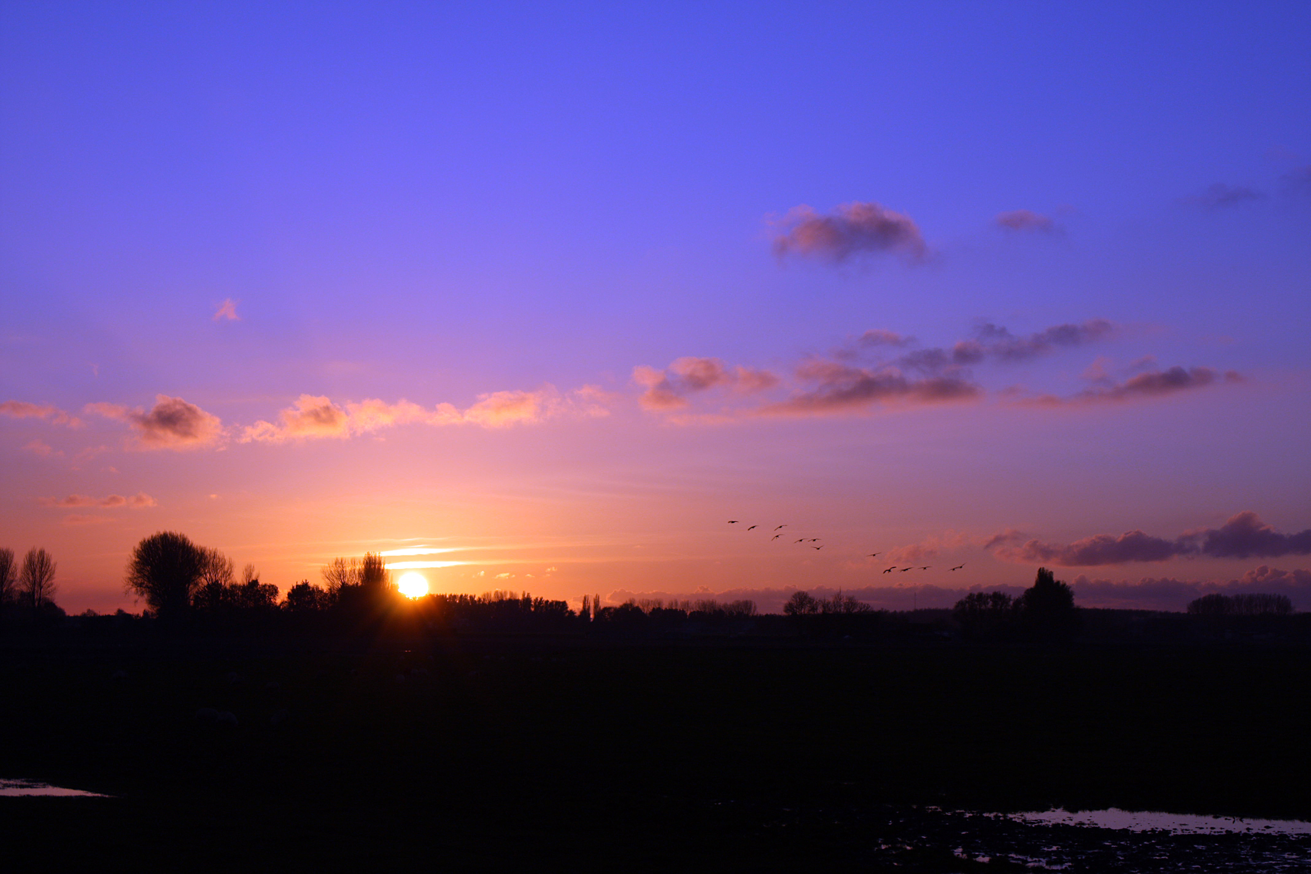 zonsondergang-spijkenisse