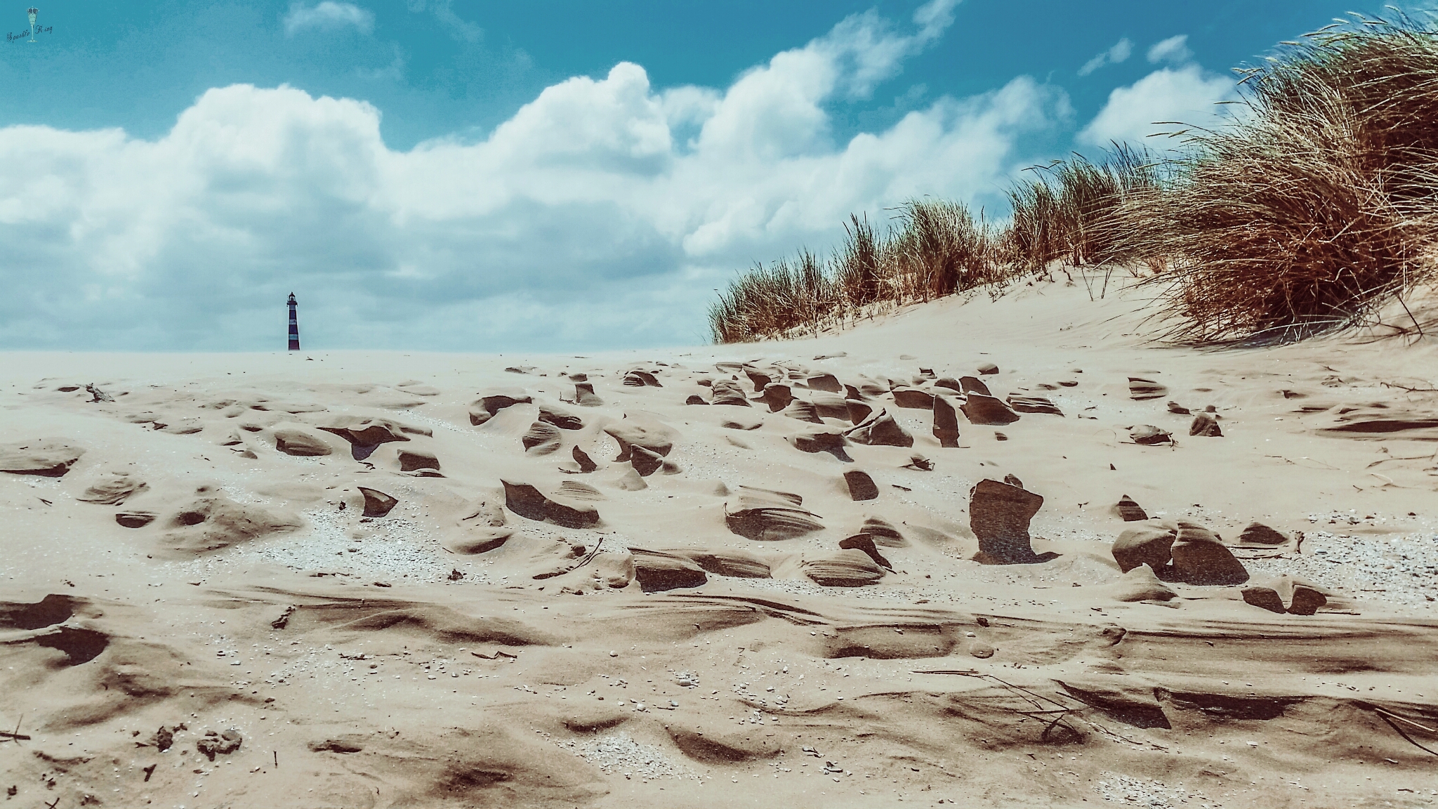 sand-sculptures-by-nature