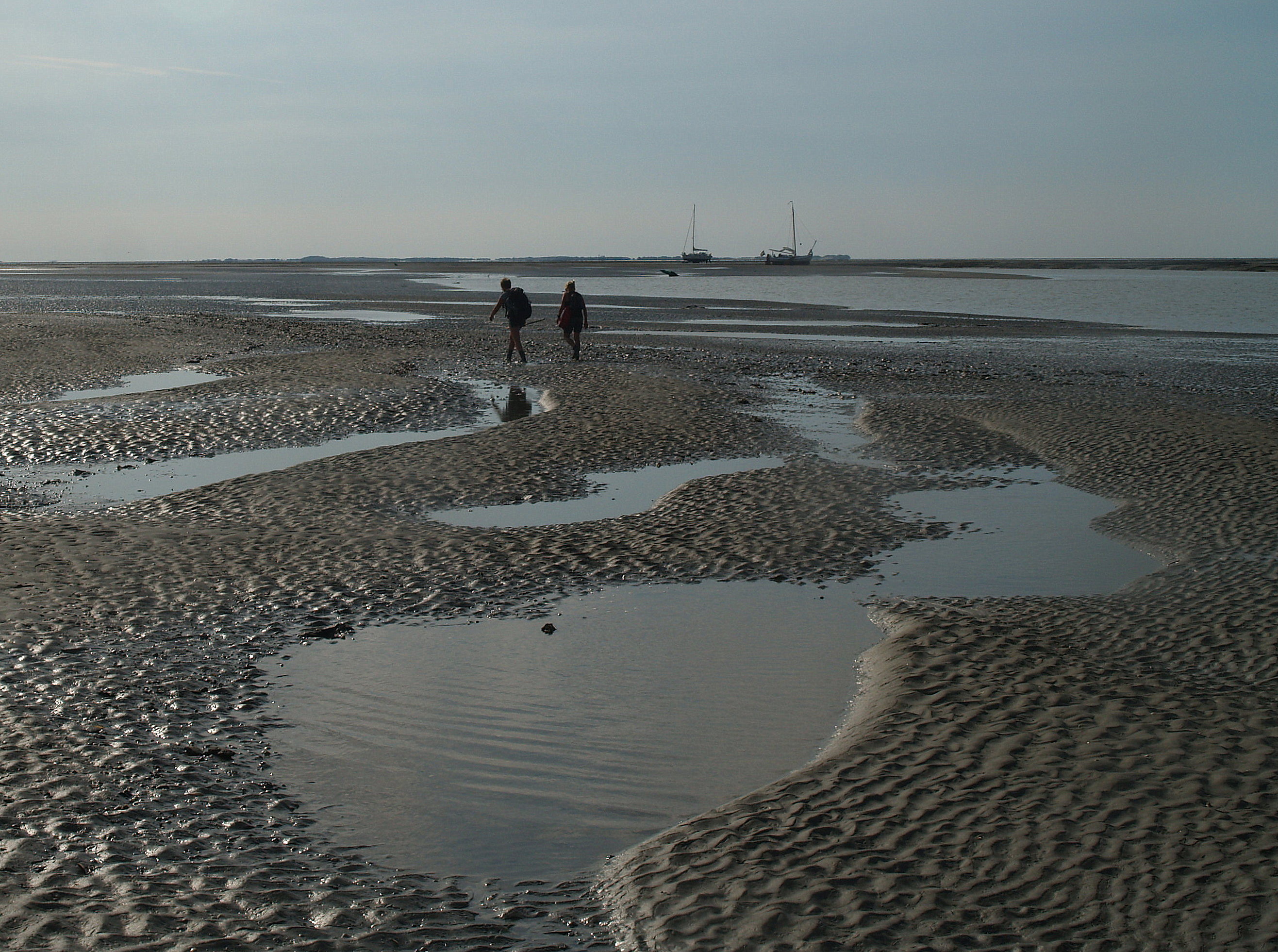 waddenzee-waddenland