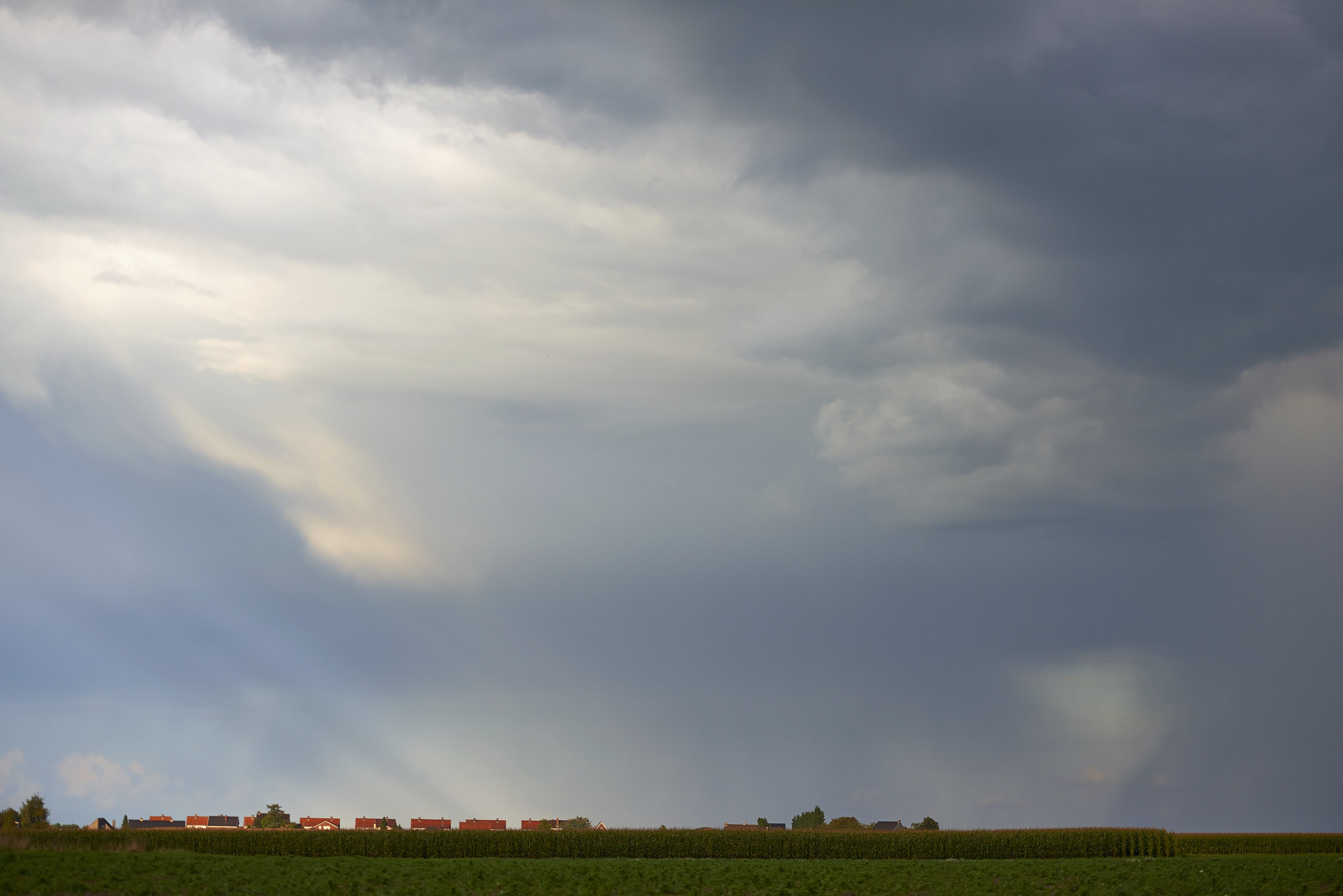 this-must-be-belgium