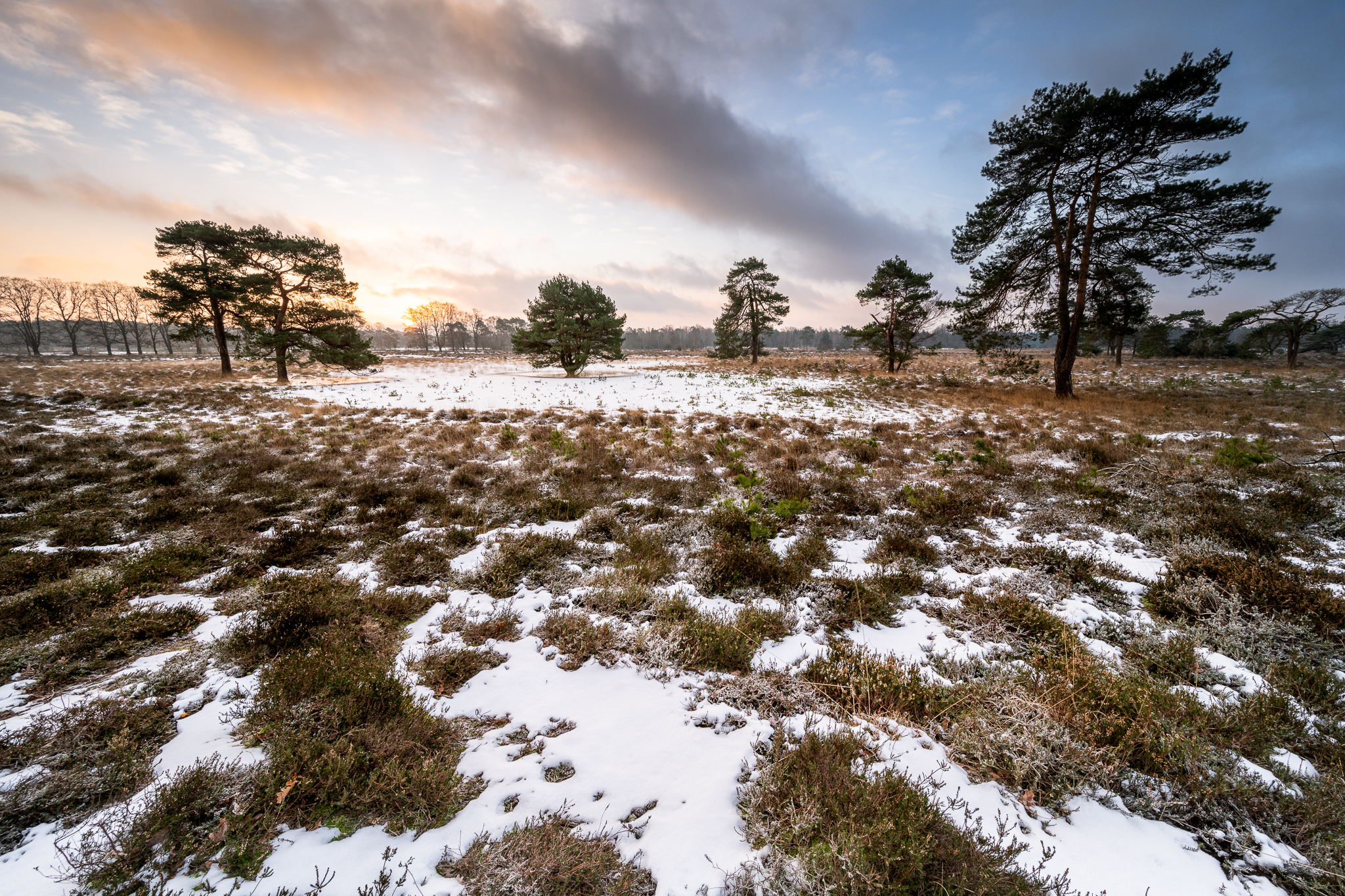 zonsopkomst-op-de-utrechtse-heuvelrug