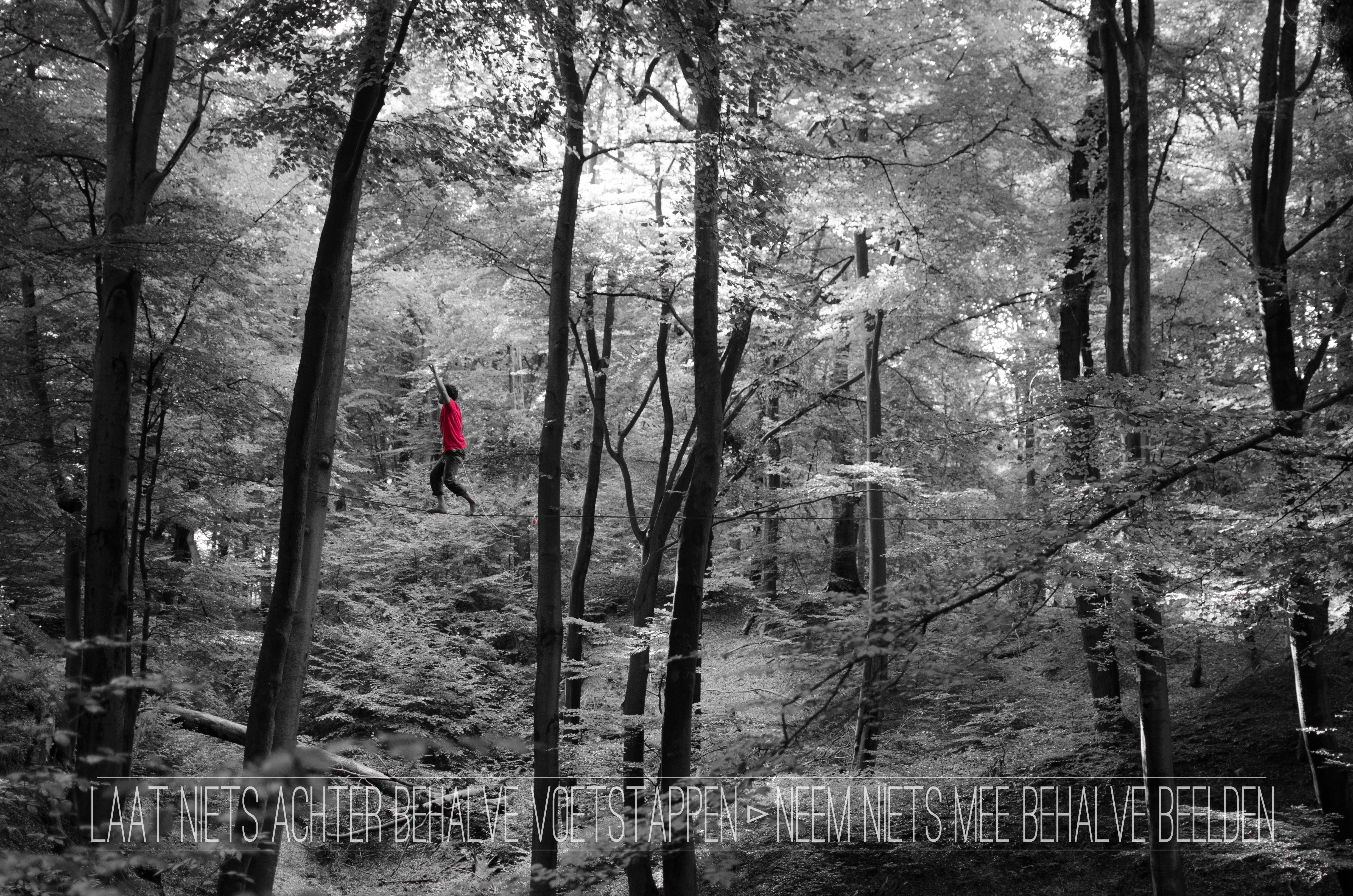 environmental-responsibility