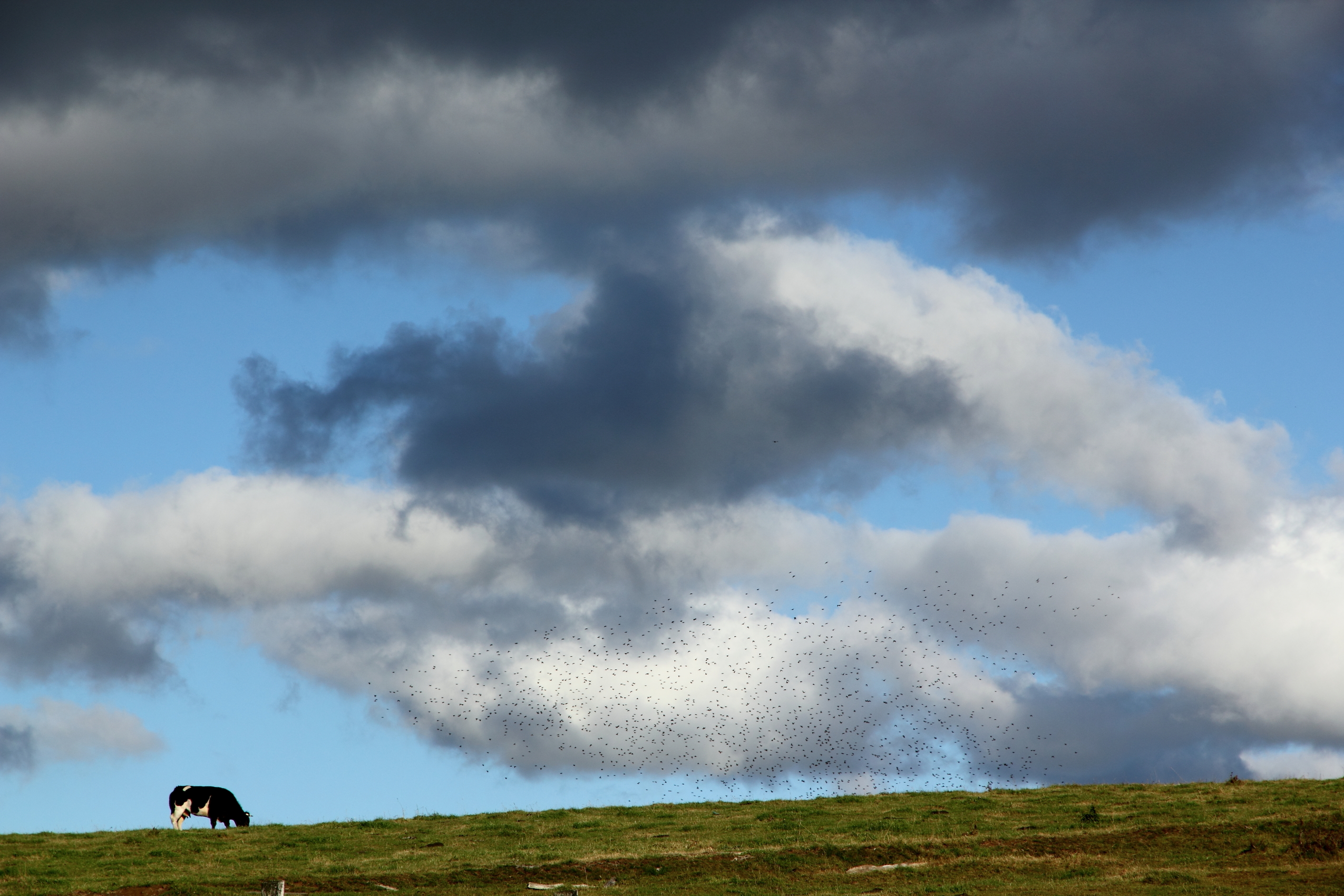 atlantische-lucht-boven-de-ardennen