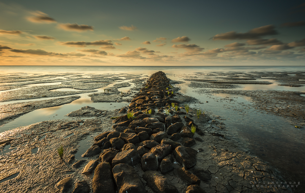 het-wad-bij-koehool-2