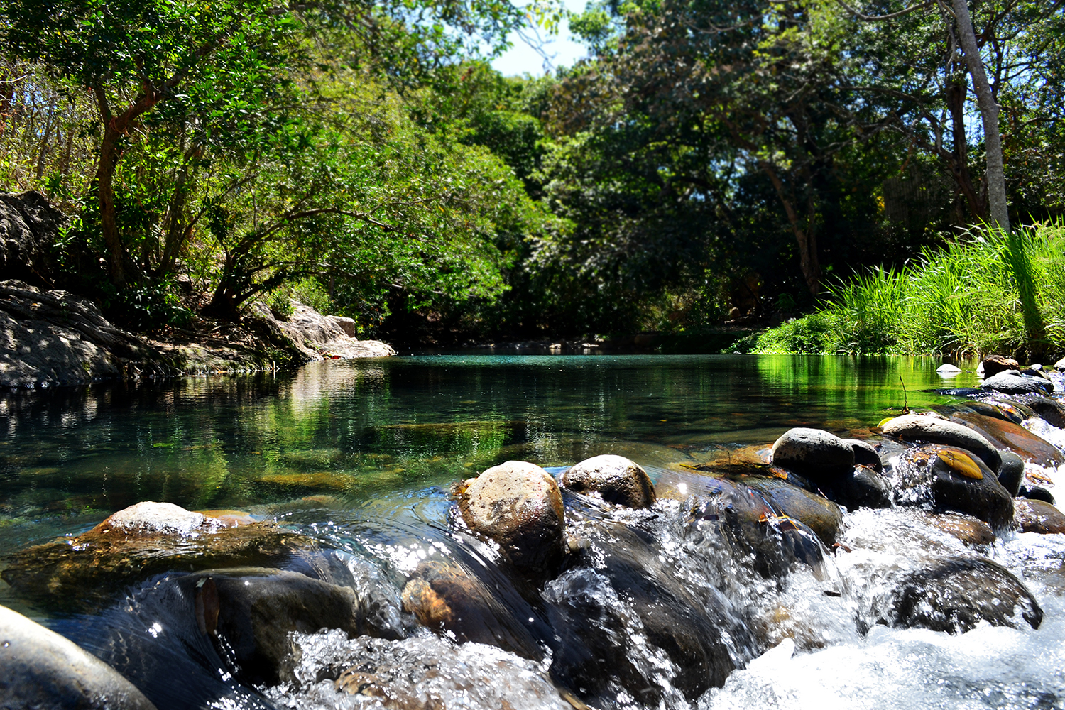kleine-oversteek-met-de-auto-in-costa-rica