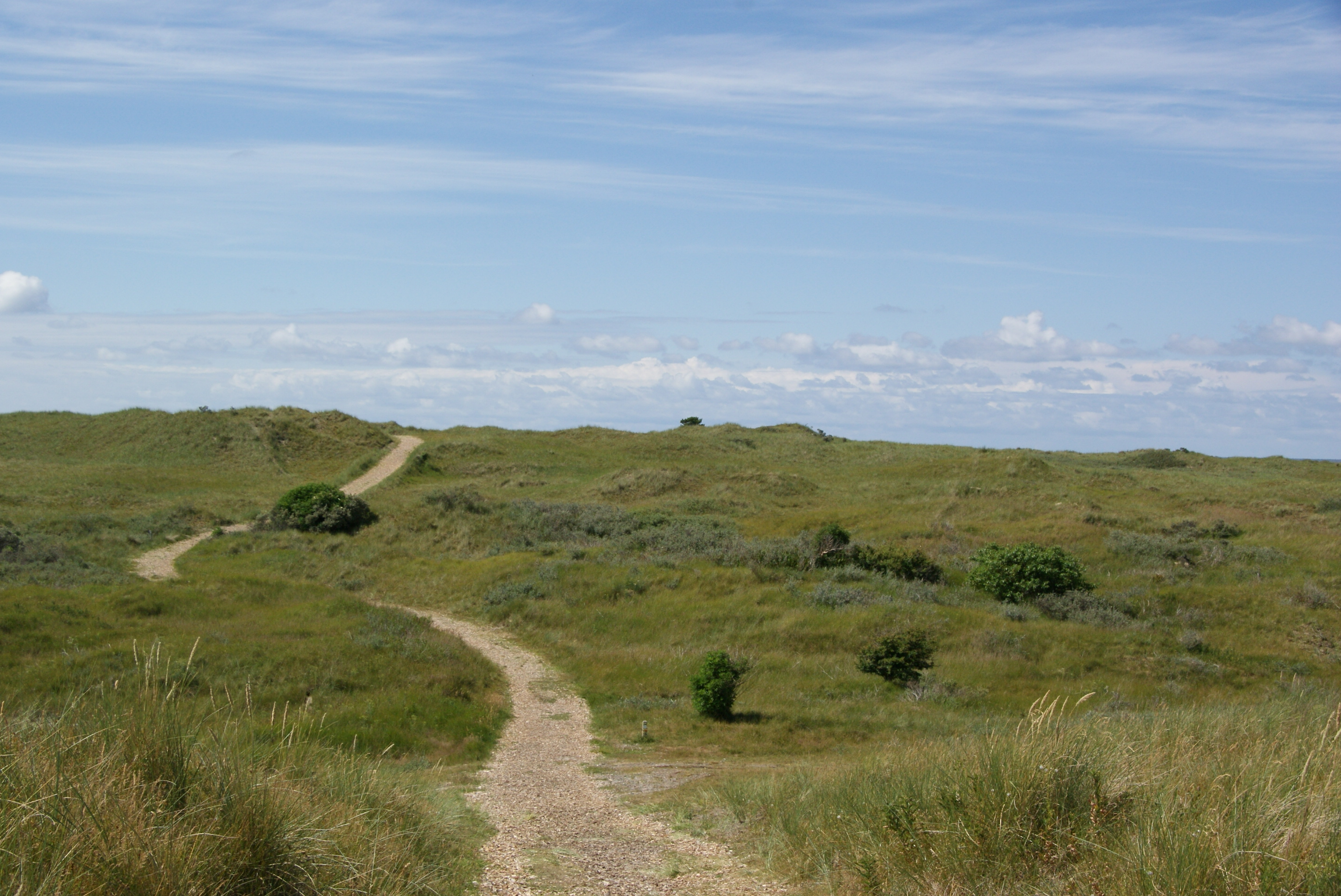 mooie-wandelpaden-in-de-duinen-van-ameland