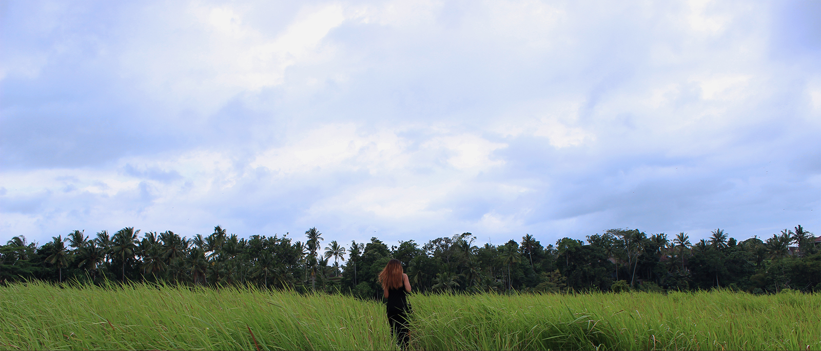 campuhan-ridge-walk-indonesie