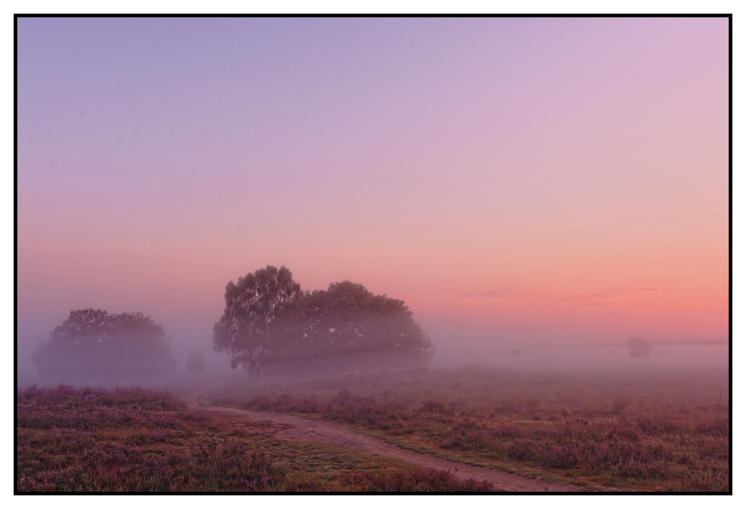 sunrise-veluwe
