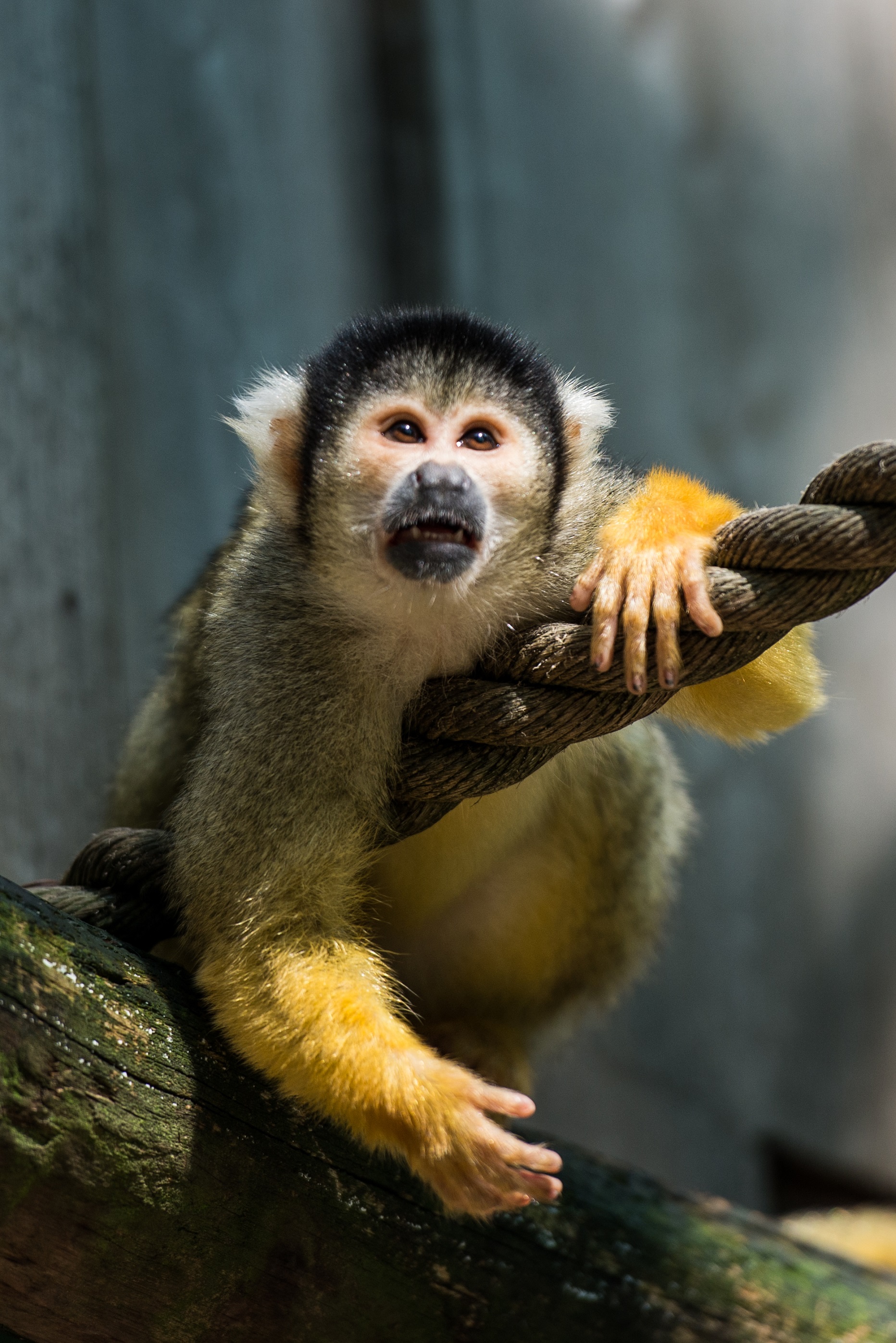 is-het-zo-goed-meneer-de-fotograaf
