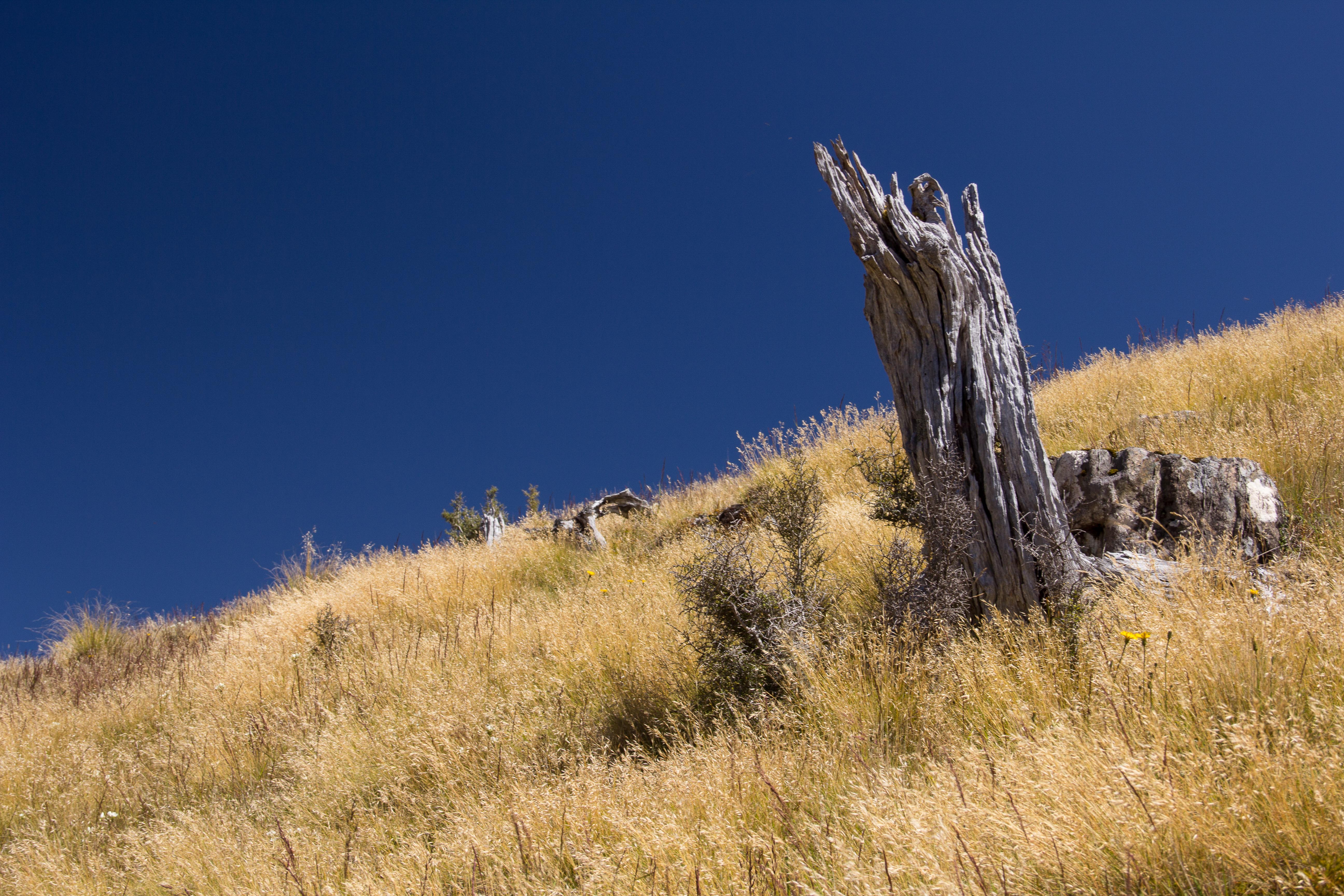 heldere-blauwe-lucht-mt-robert-nz