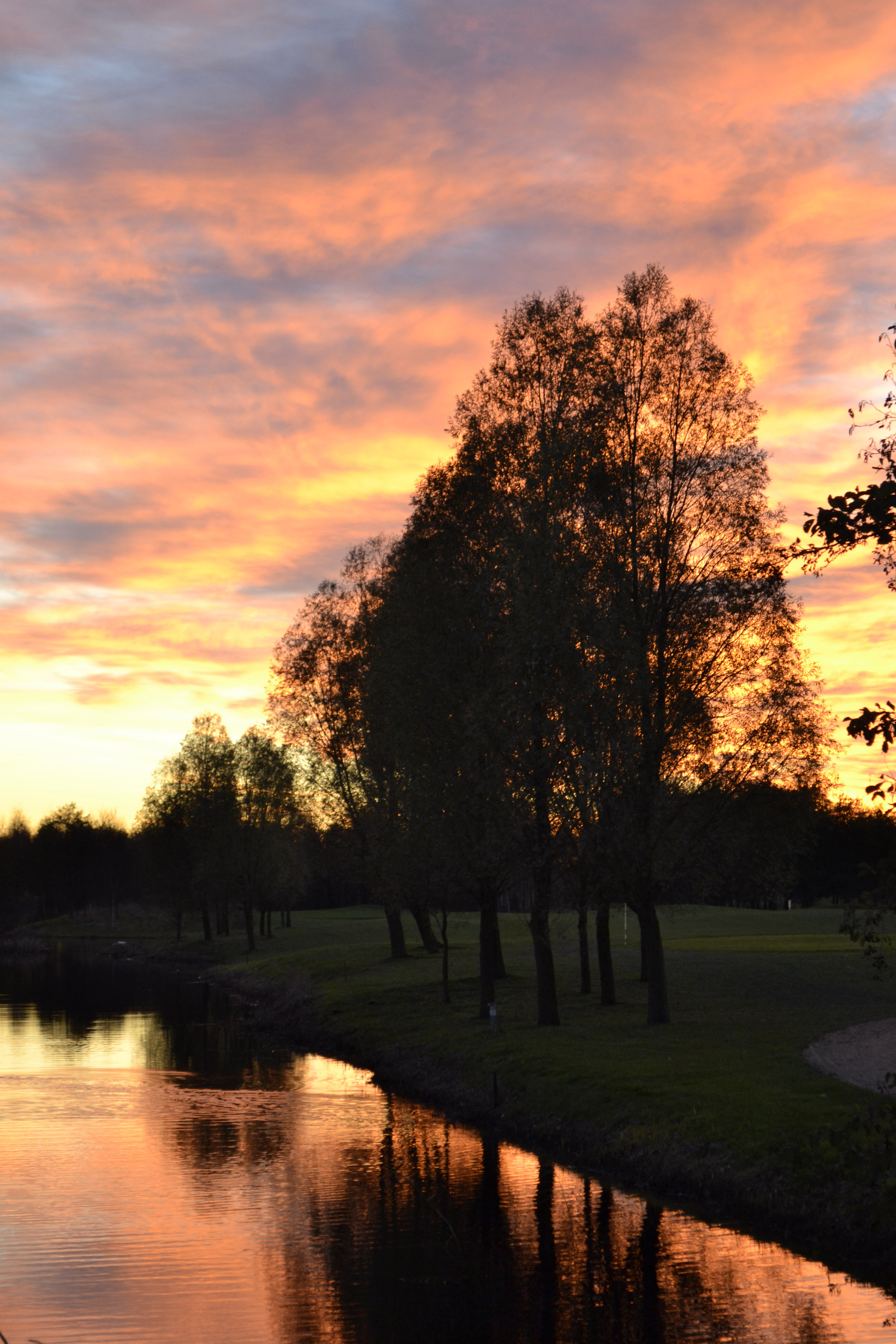 bomen-tegen-rode-lucht