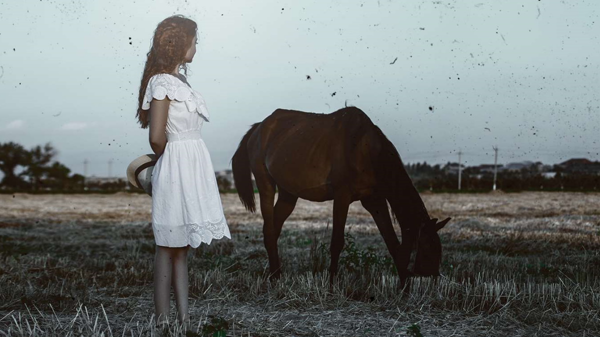 direct-oude-fotos-herstellen-met-photoshop-plugin