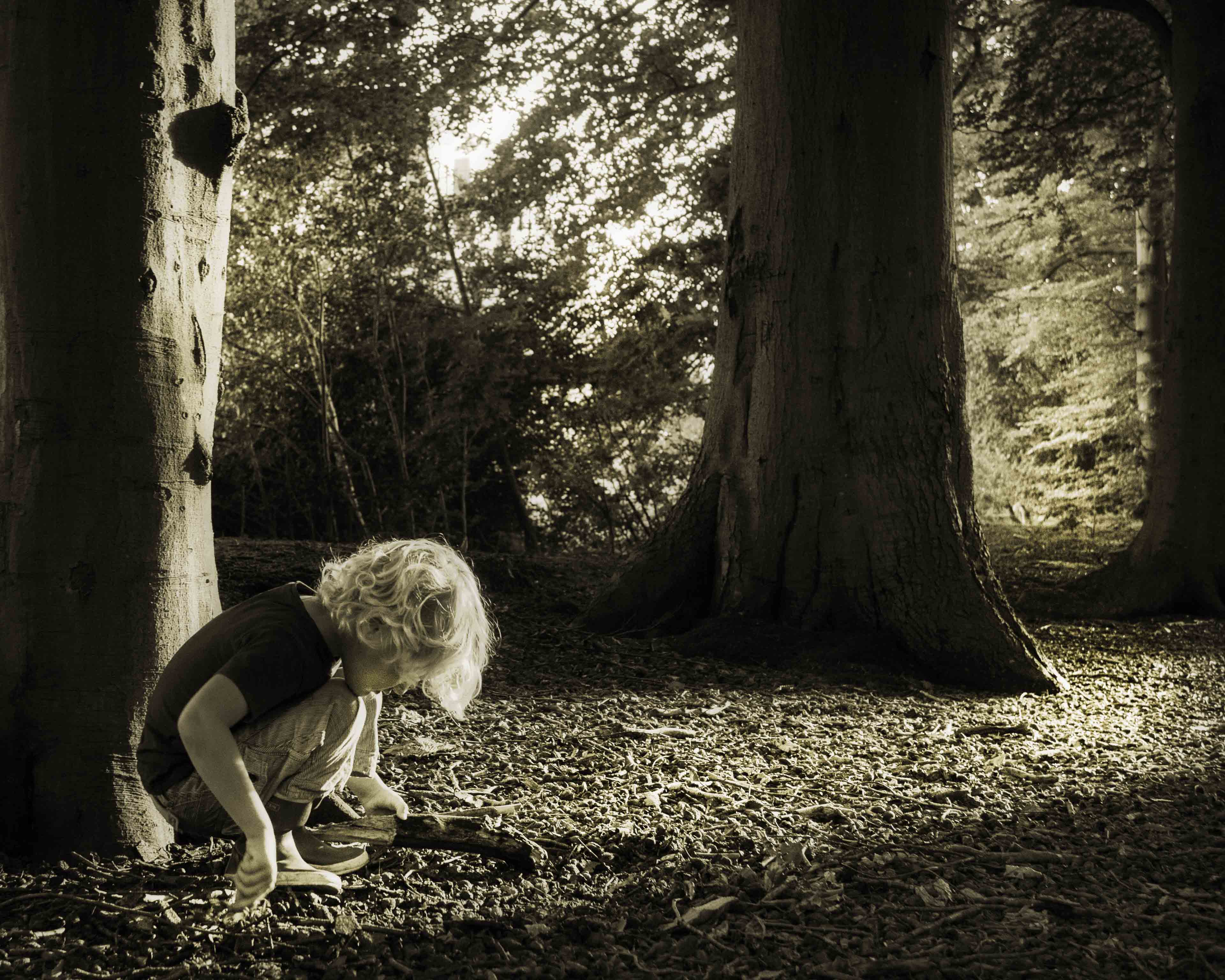 look-at-this-stick-of-wood