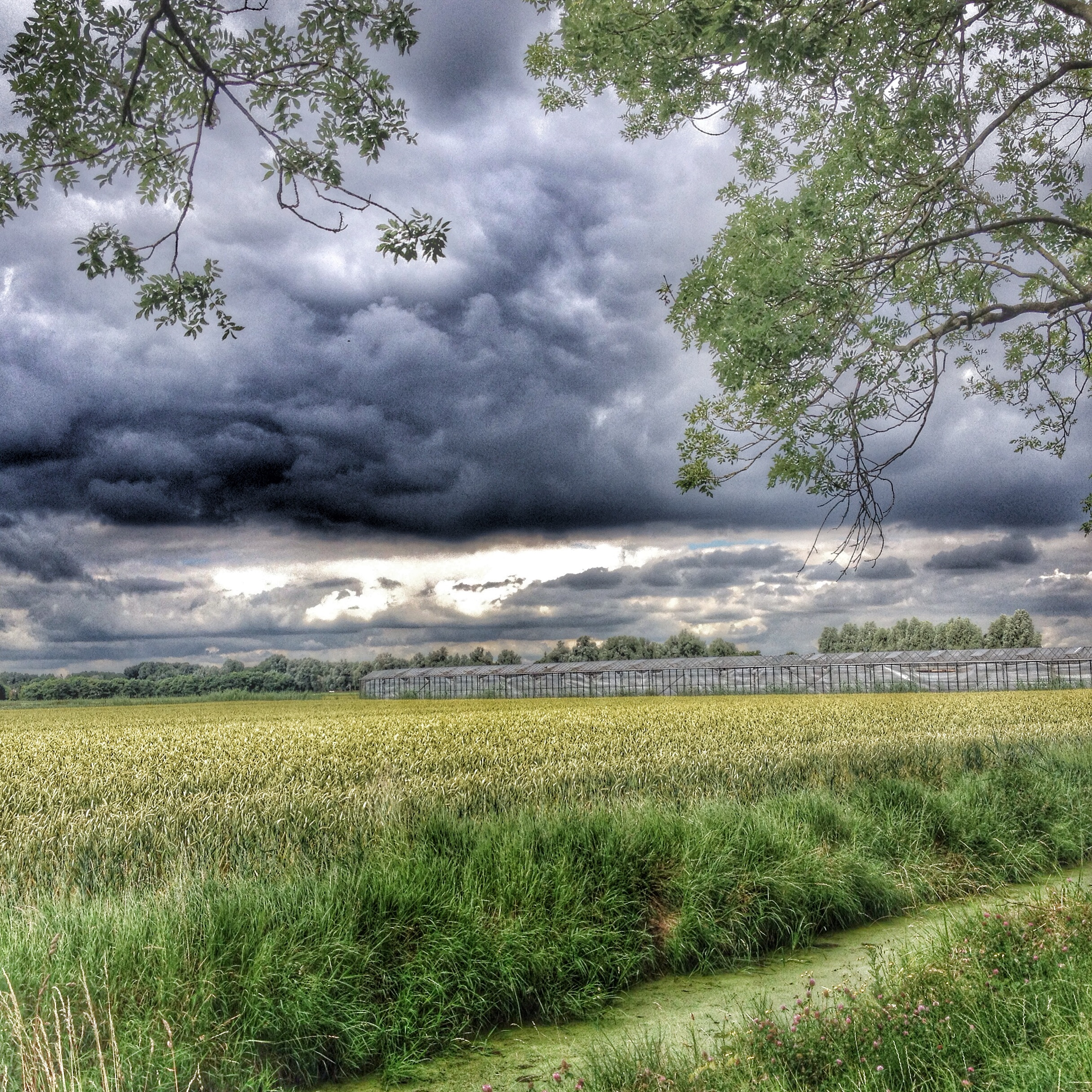 dreigende-luchten-op-een-hollands-landschap