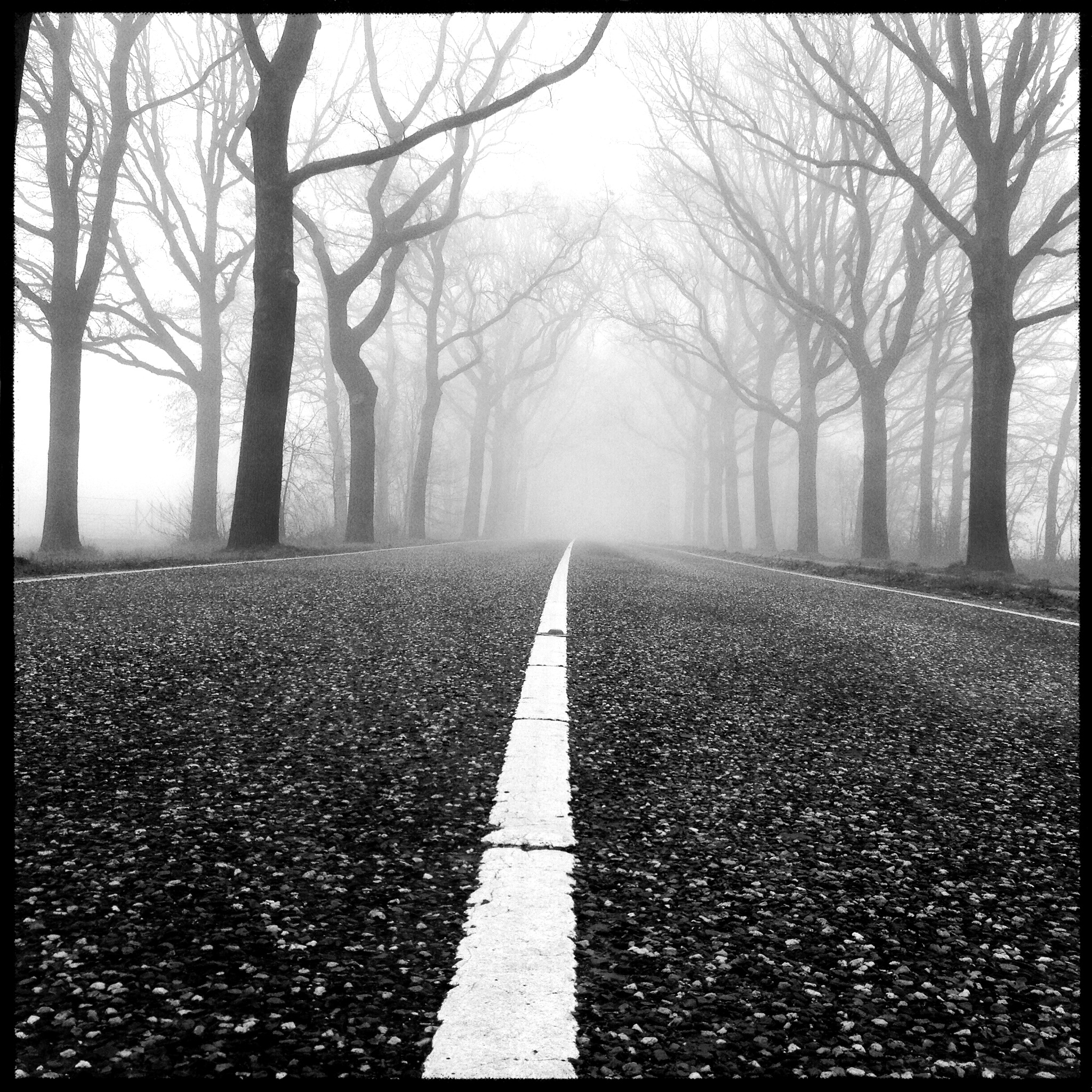 onderweg-naar-de-mist