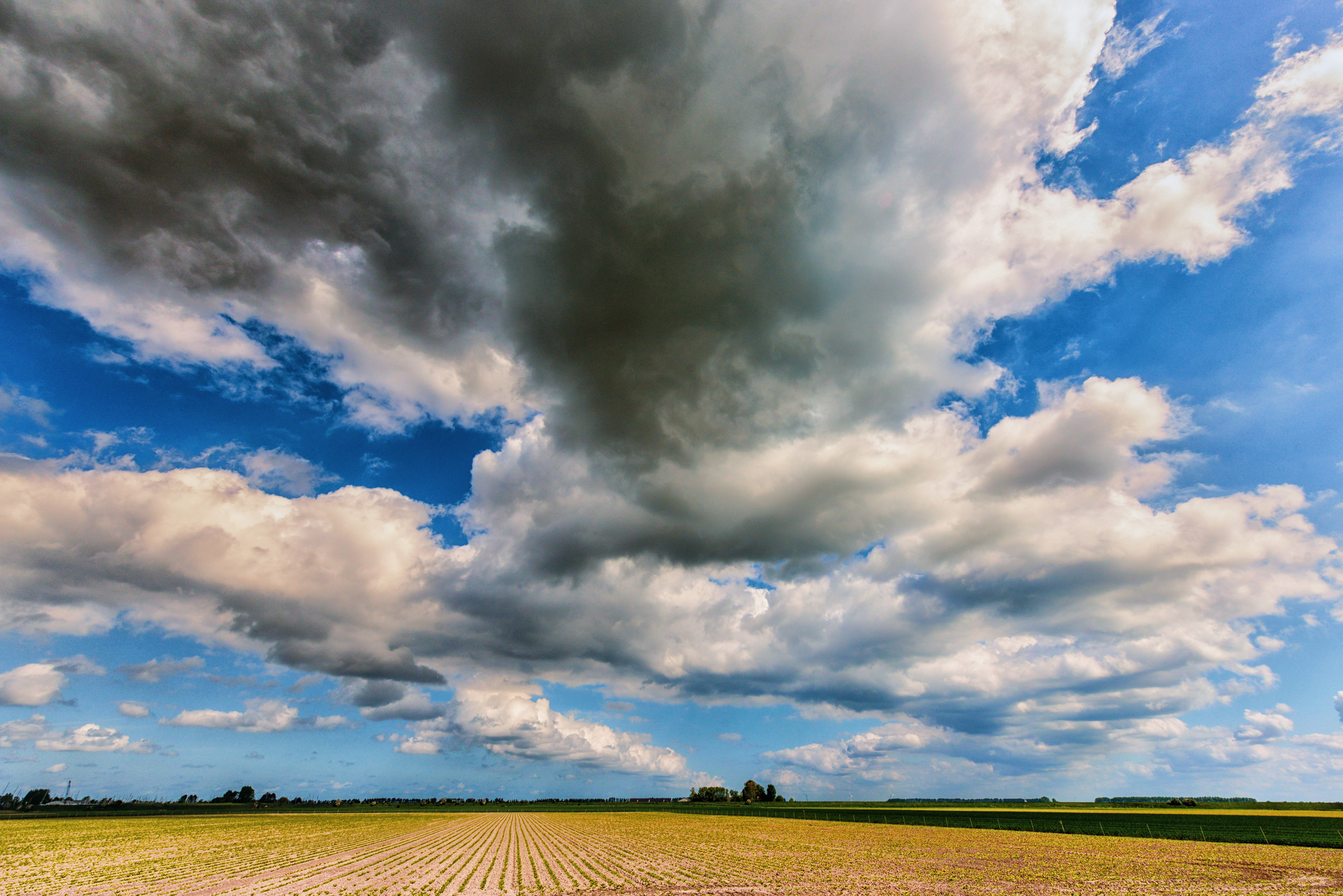blue-sky-over-holland