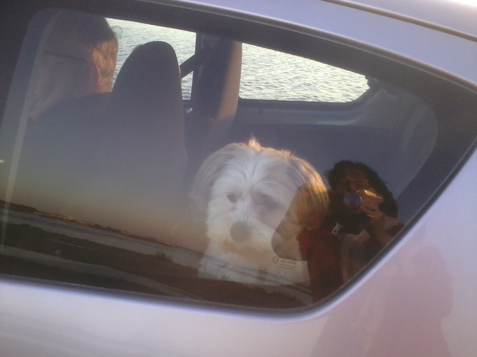 wat-is-daar-te-zien-onderweg