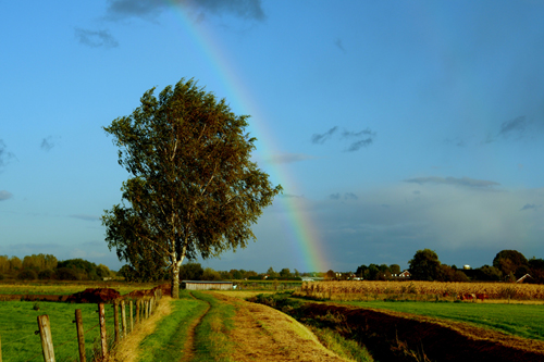 regenboog-14