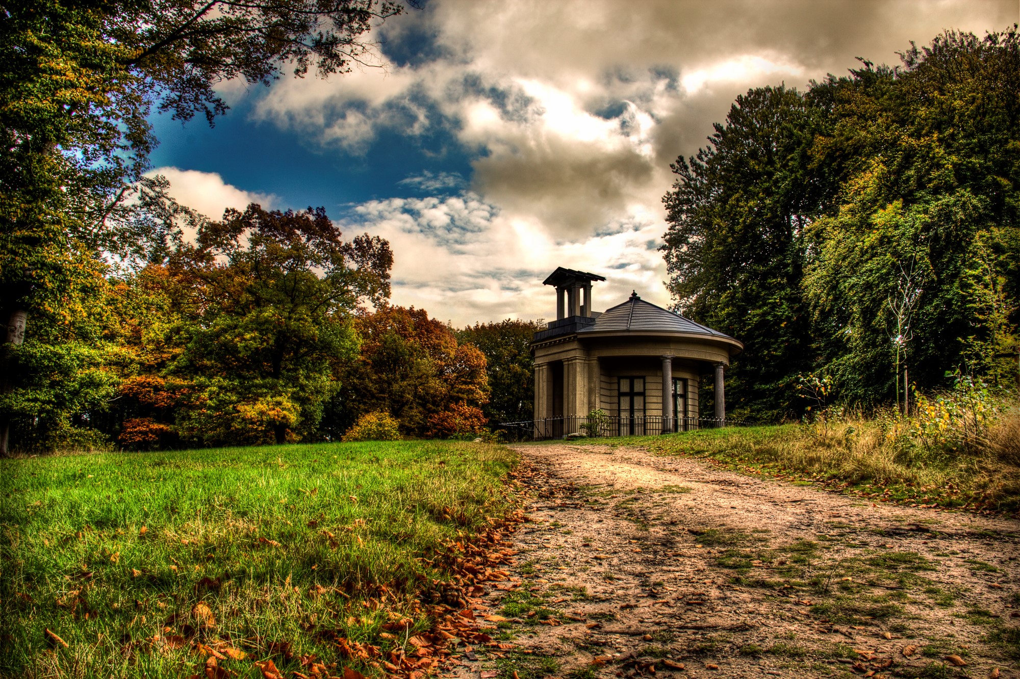 wandeling-door-het-bos