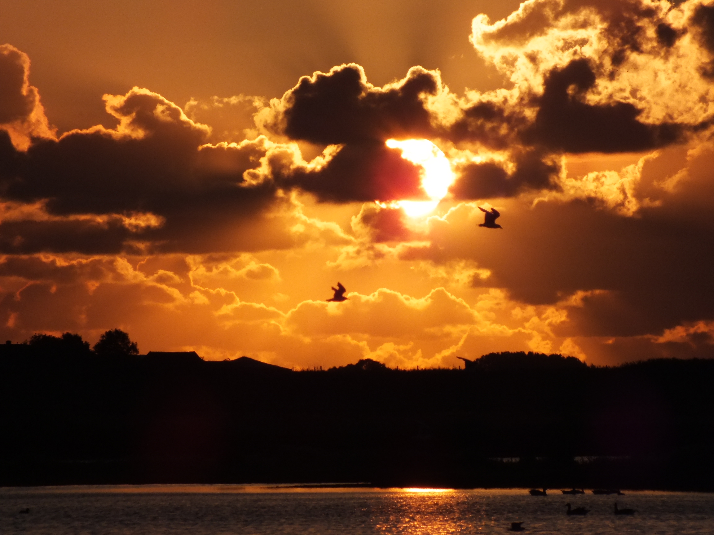 onderweg-naar-slaapplaats