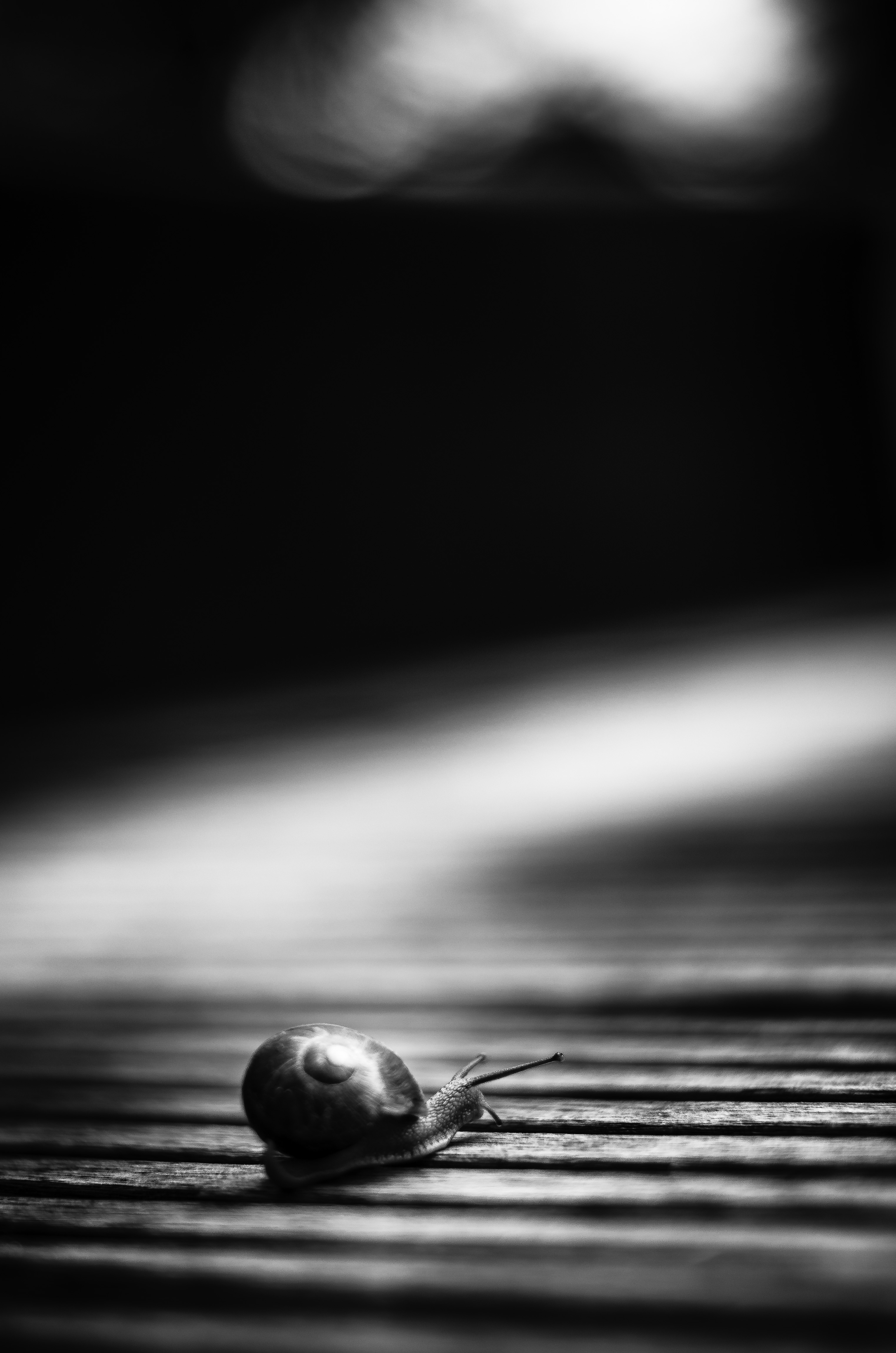 for-the-road-is-dark