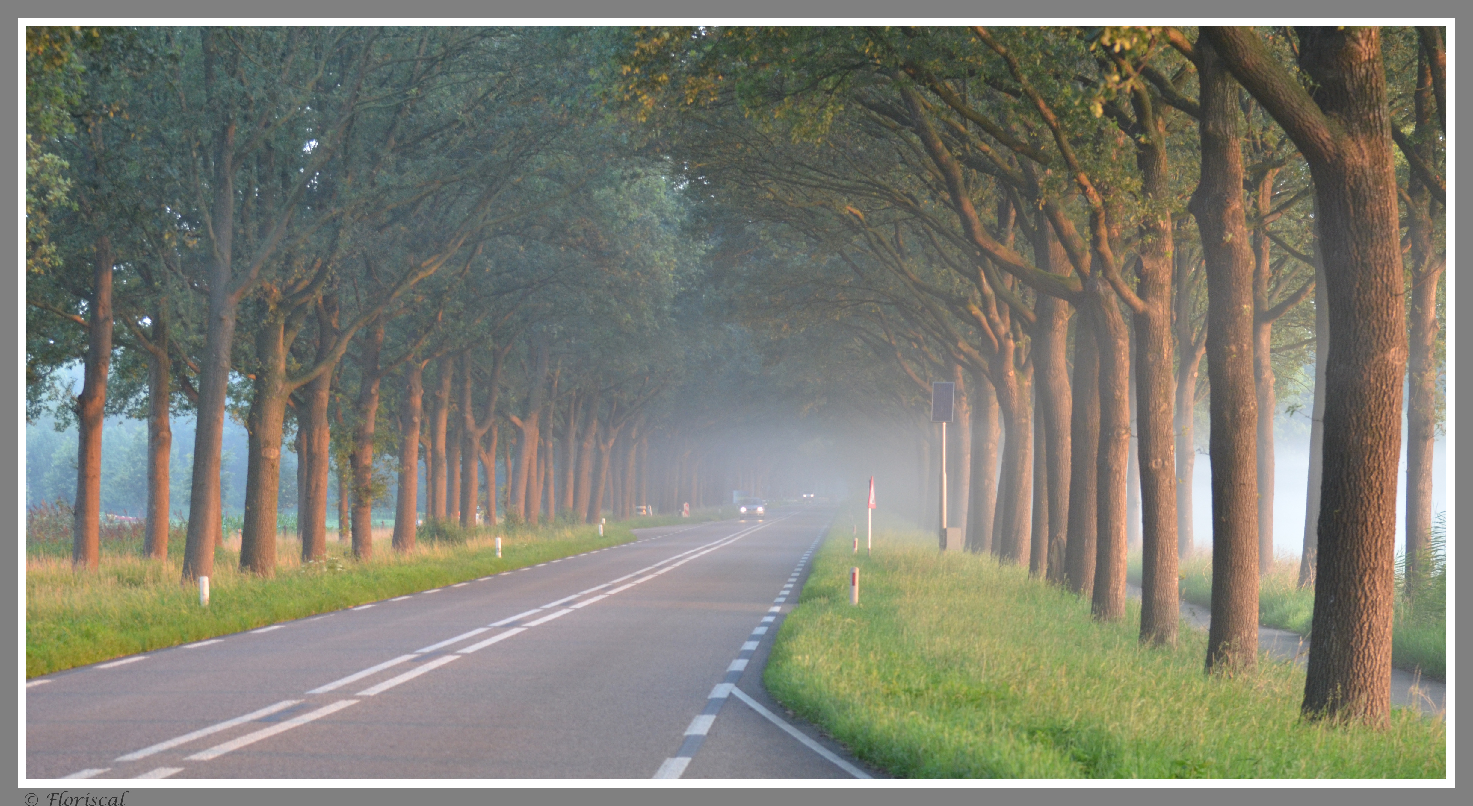 ochtendgloren-onderweg-naar-mijn-werk-moet-ik-al-vroeg-op-stap-bij-dit-licht