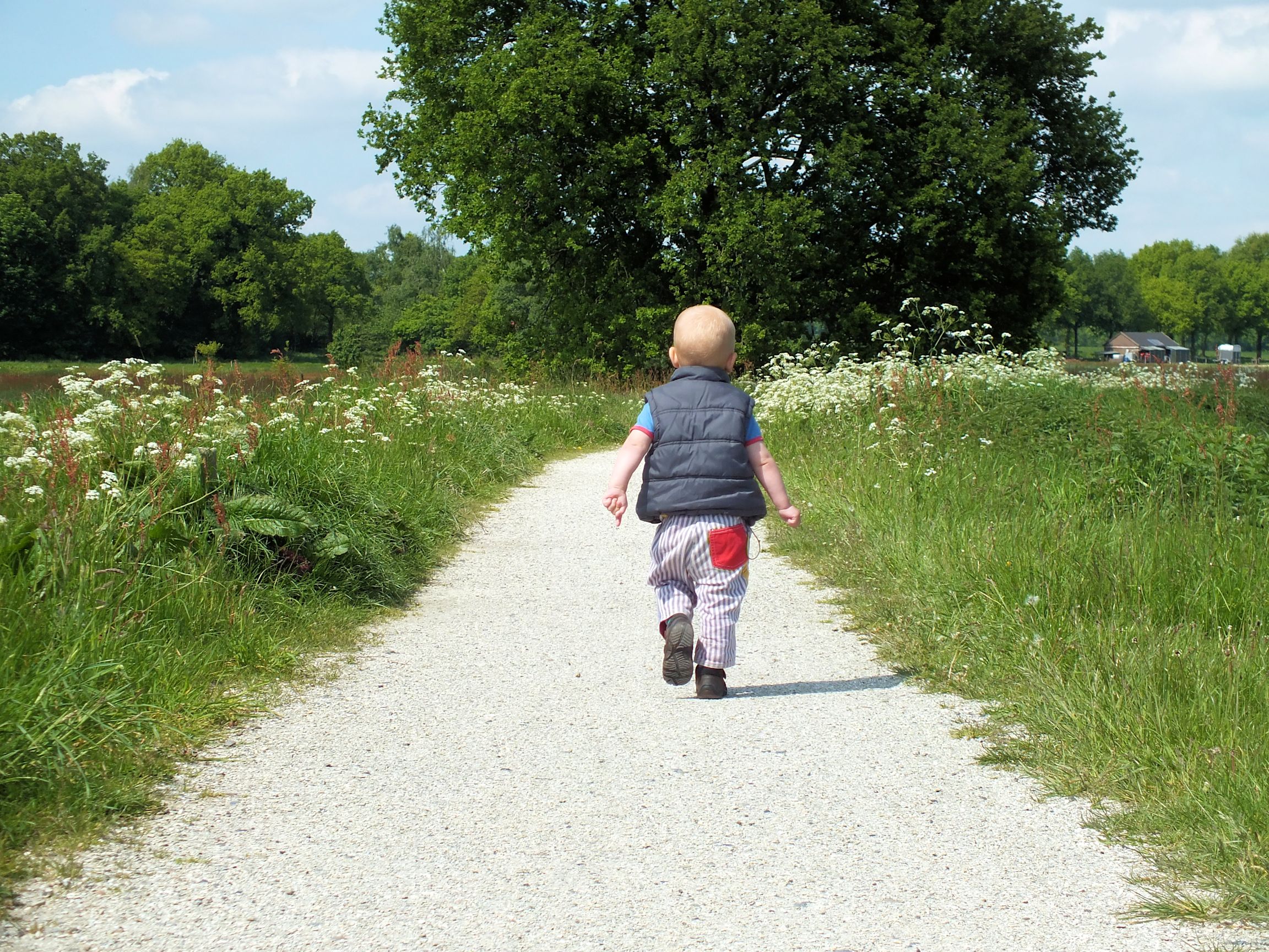 op-weg-naar-het-hunebedcentrum