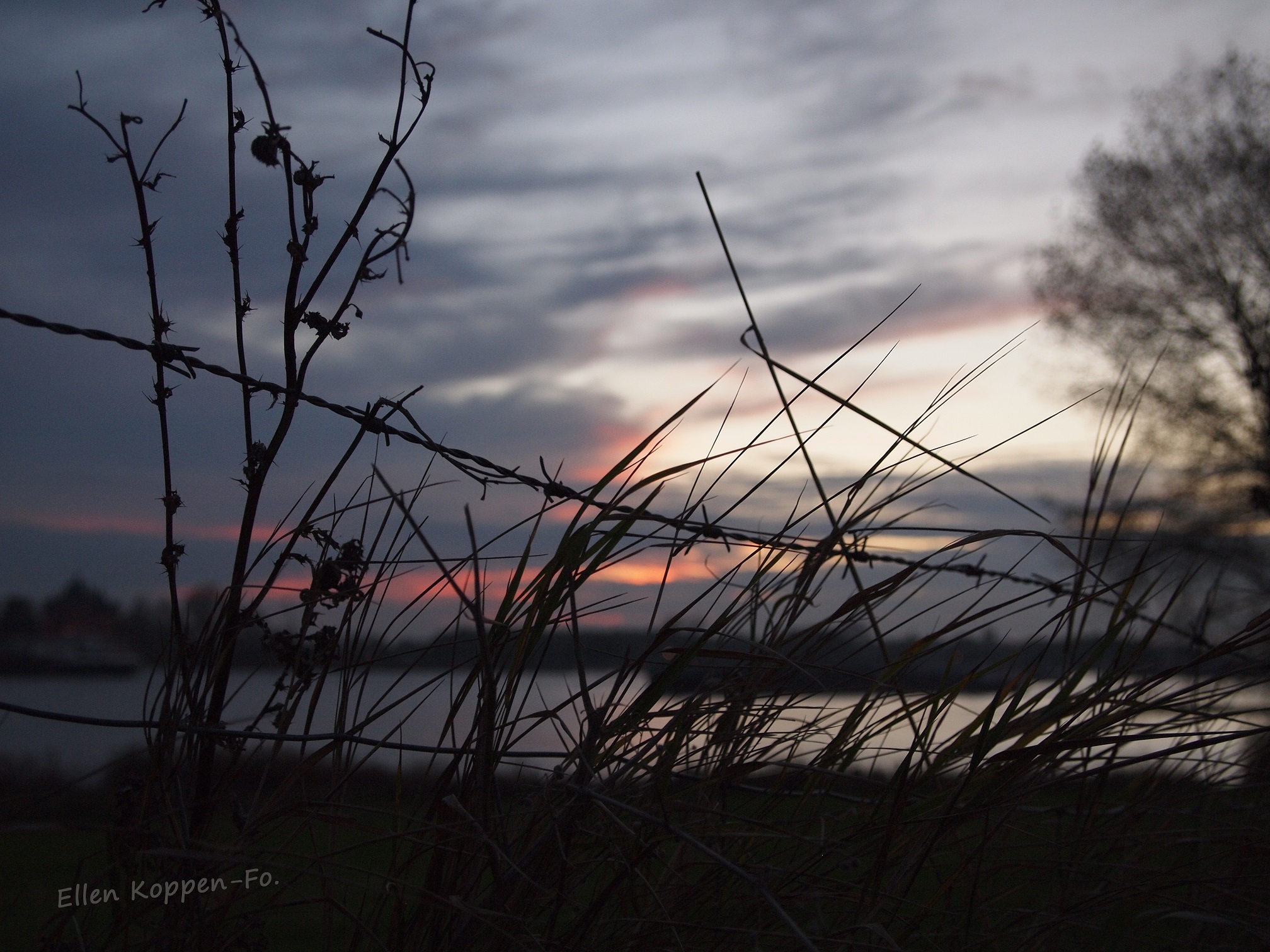 waal-bij-zonsondergang