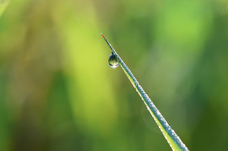 preview-van-digifoto-fan-naar-exposerend-fototalent