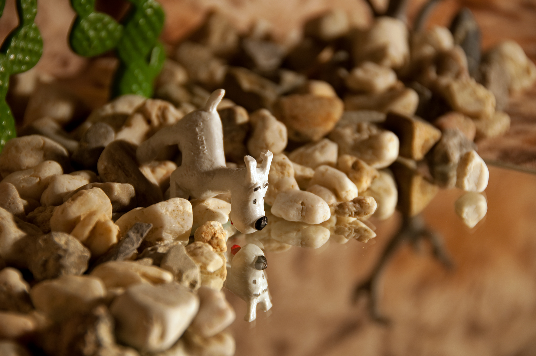 bobby-in-de-woestijn