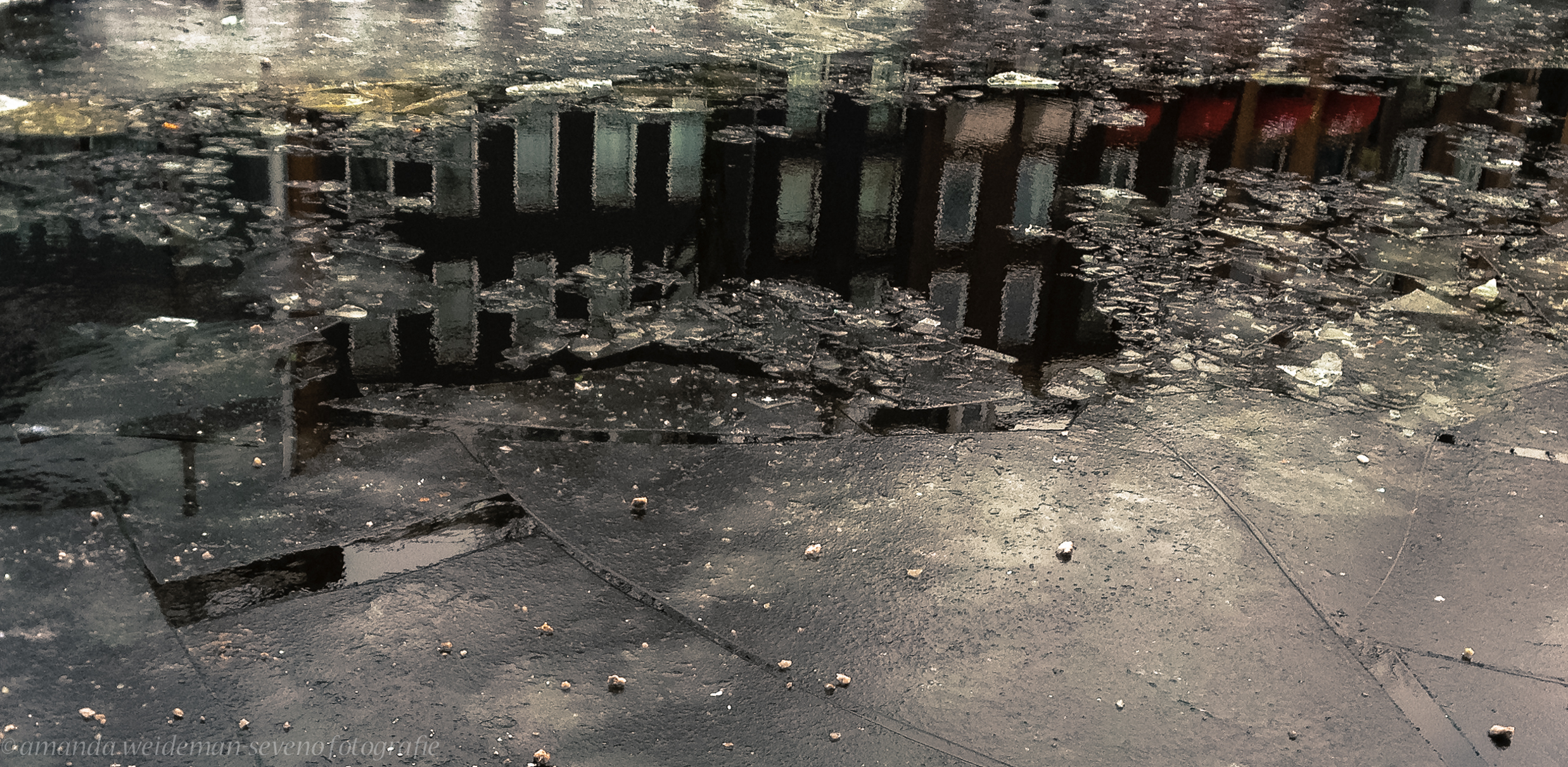 amsterdam-between-the-ice-with-a-touch-of-red