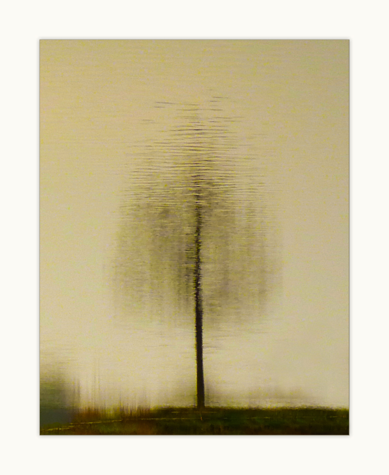 spiegeling-bij-vorstenbosch