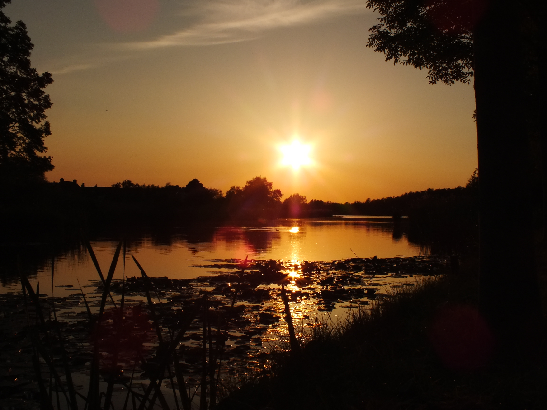 zon-veranderd-in-ster