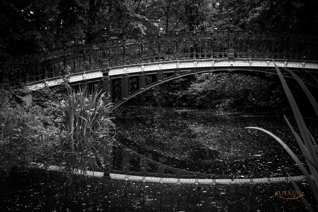 brug-in-het-vondelpark