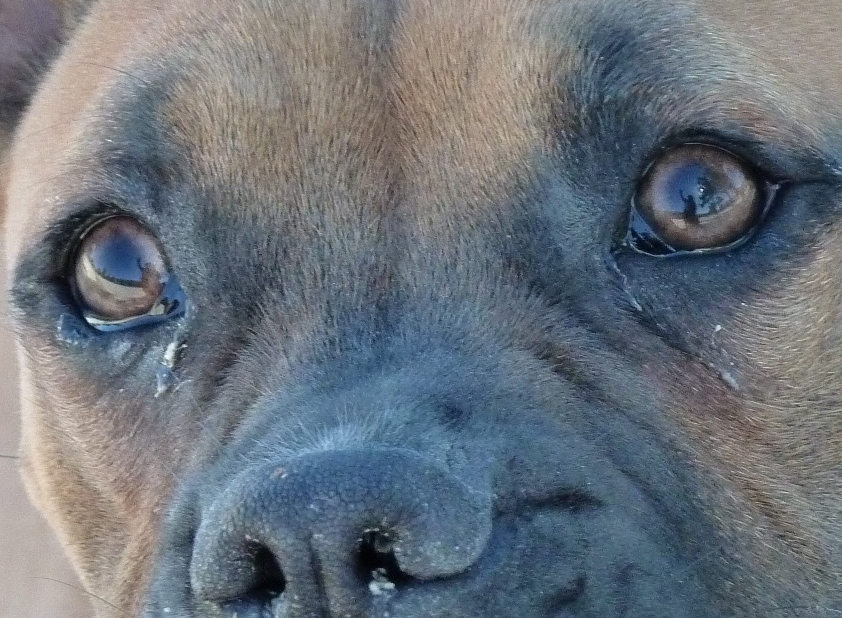 in-mijn-ogen-speelt-een-mens-met-mij