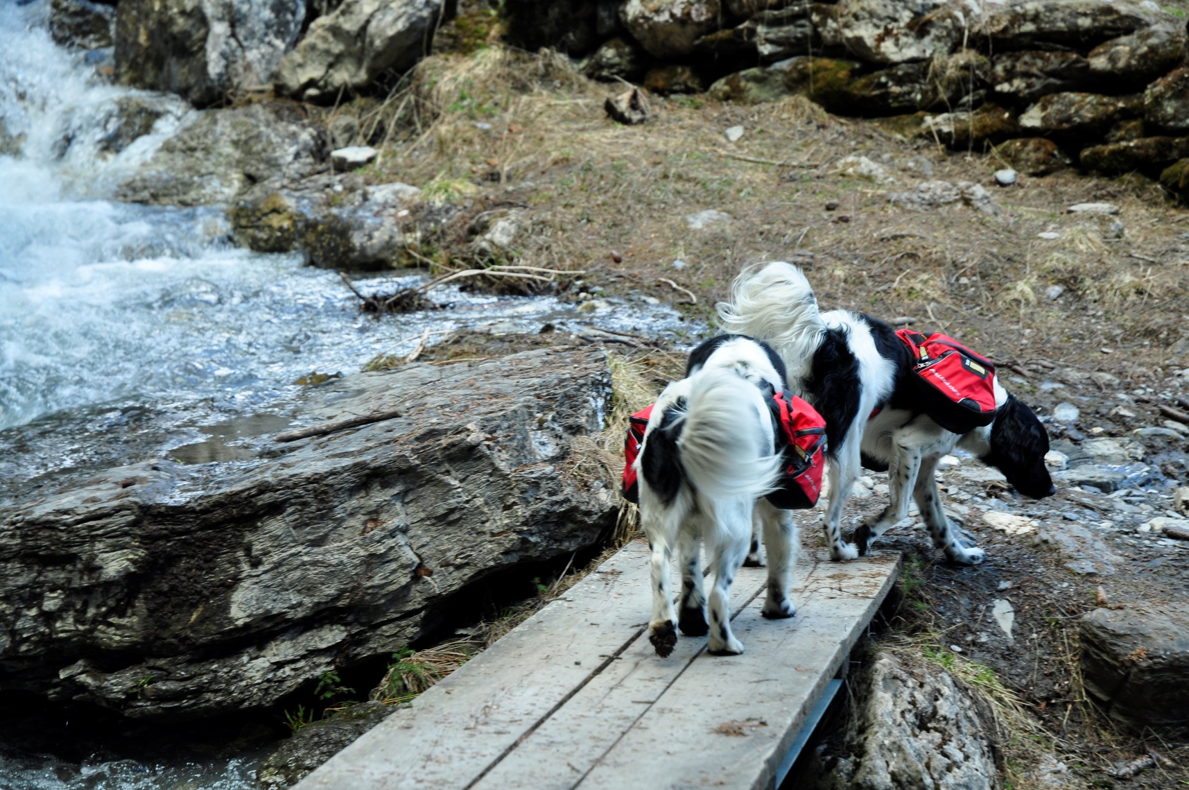 vader-en-zoon-stabij-samen-onderweg