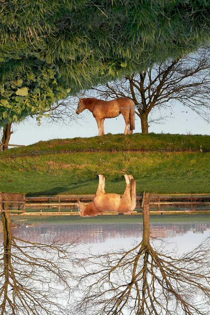 spiegeling-omgedraaid