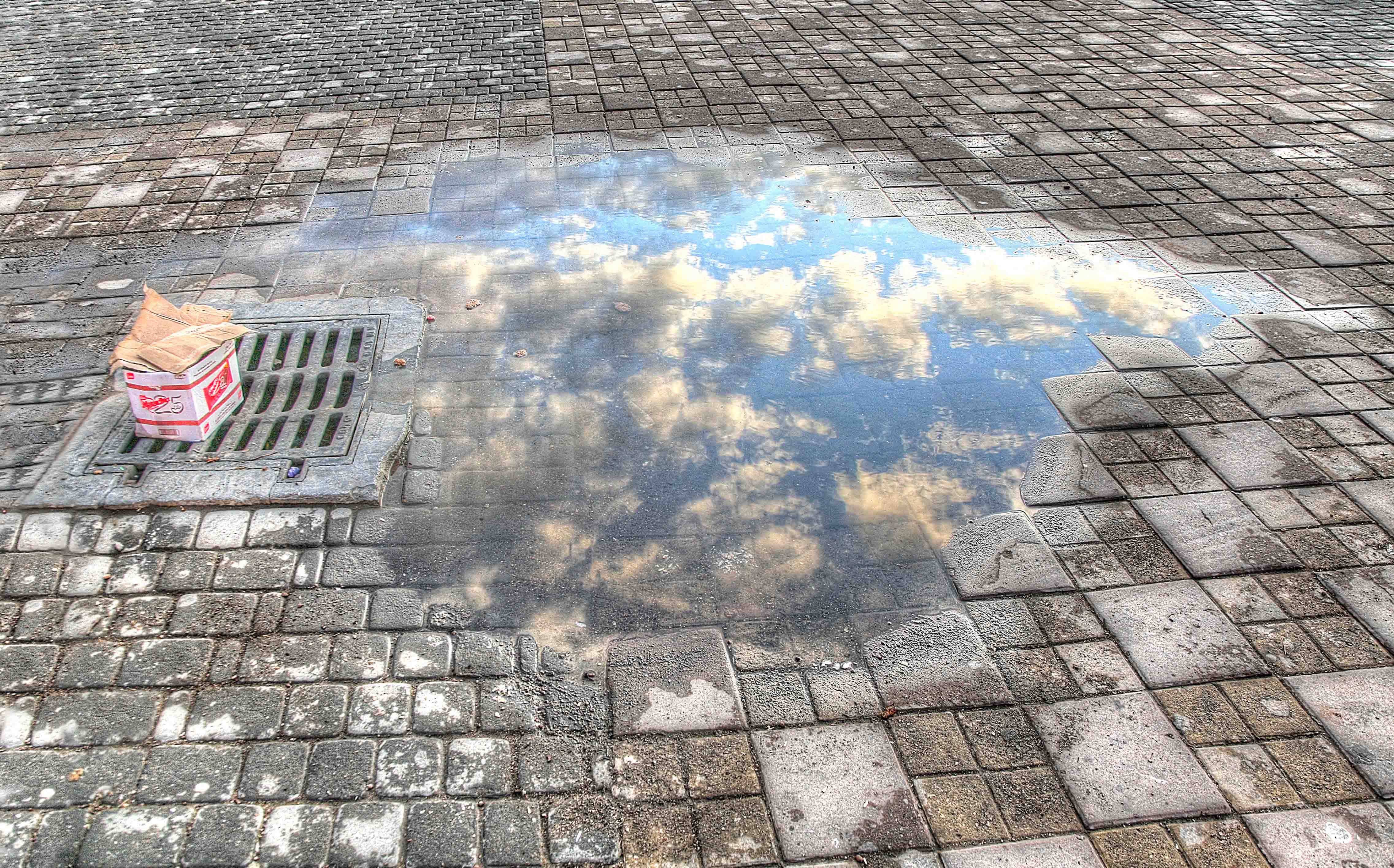 na-regen-komt-zonneschijn-9