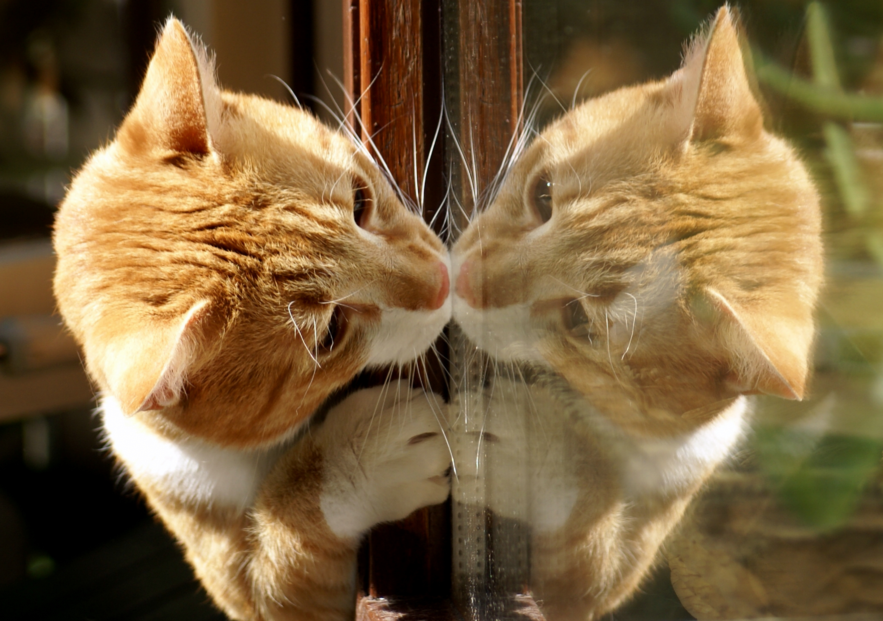 love-at-first-sight-1