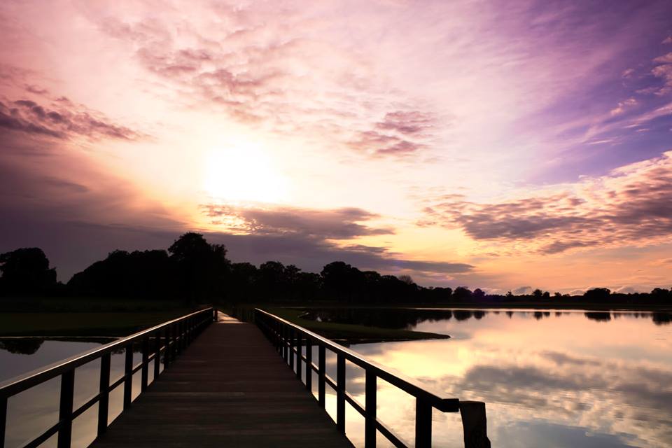 waterbuffer-dakhorst