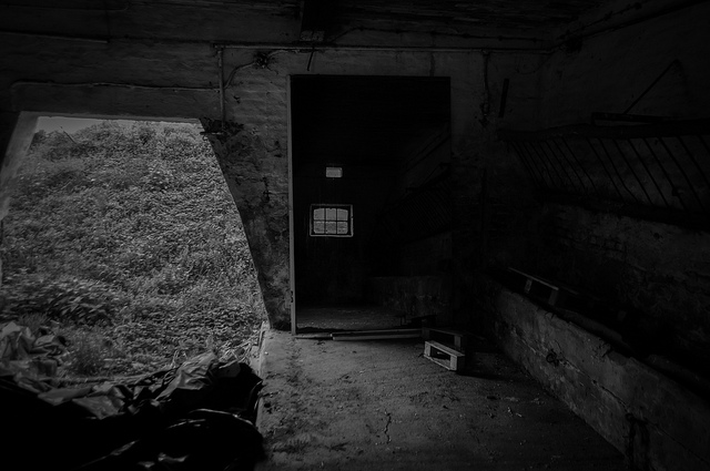 untitled-look-closely